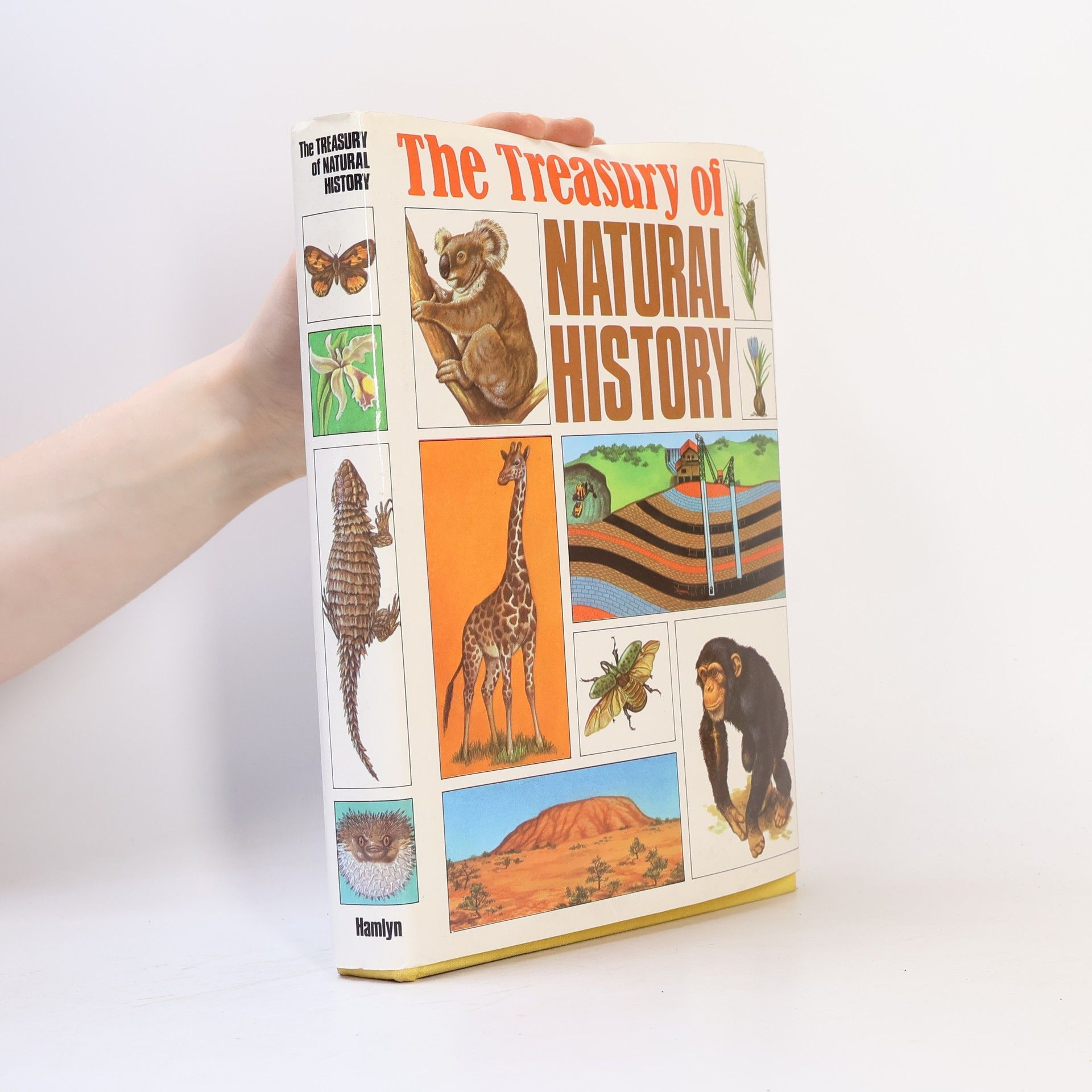 Bertha Morris Parker The Treasury of Natural History