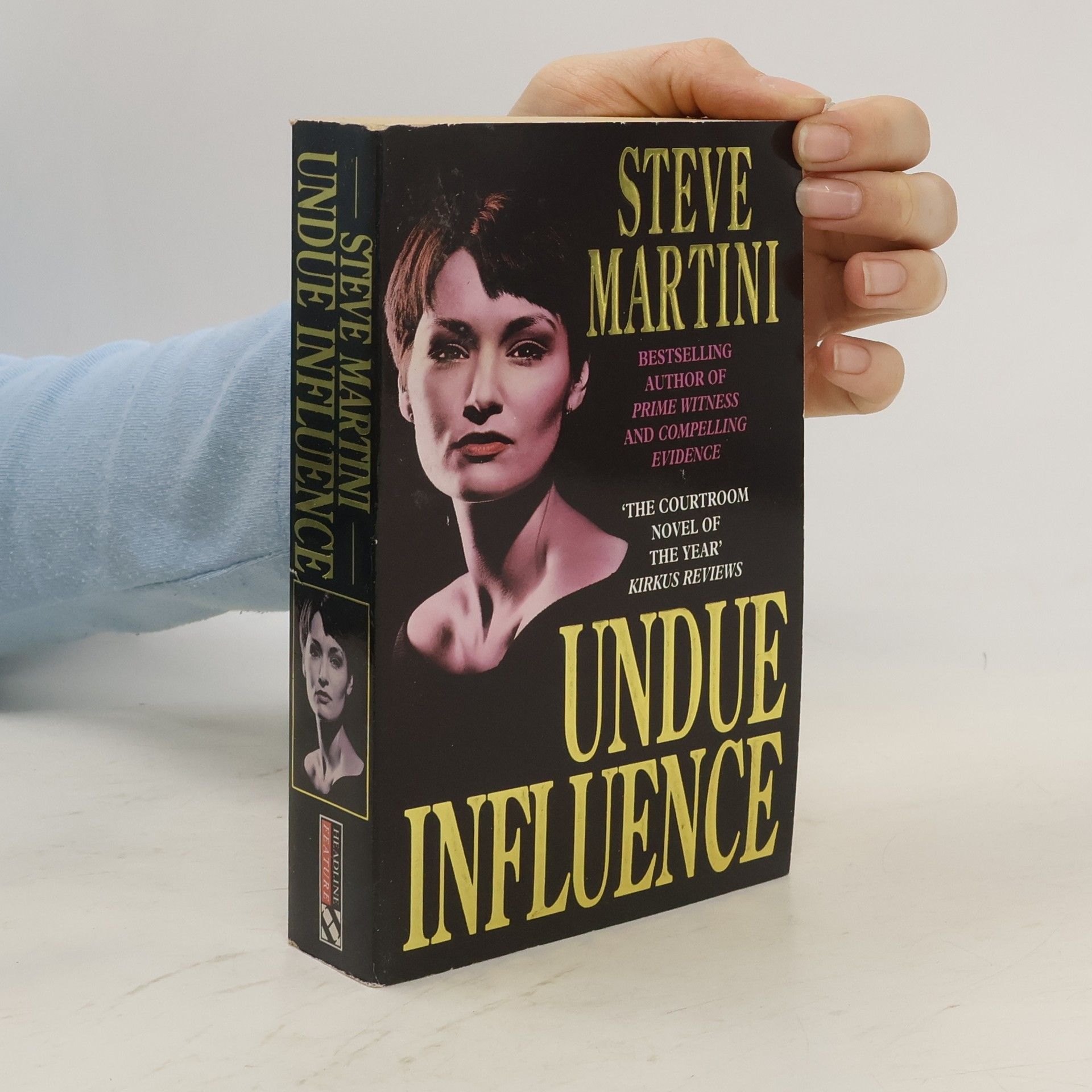 Steve Martini Undue Influence