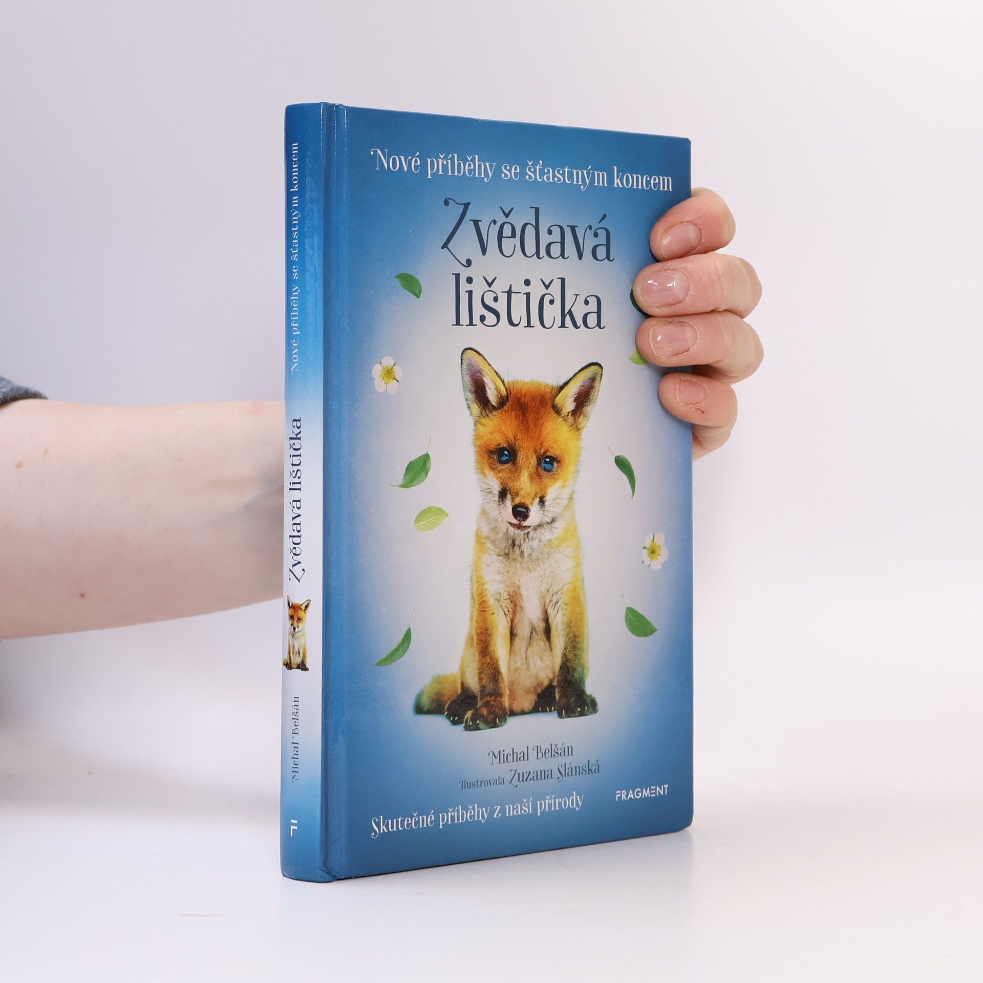 Zvědavá lištička