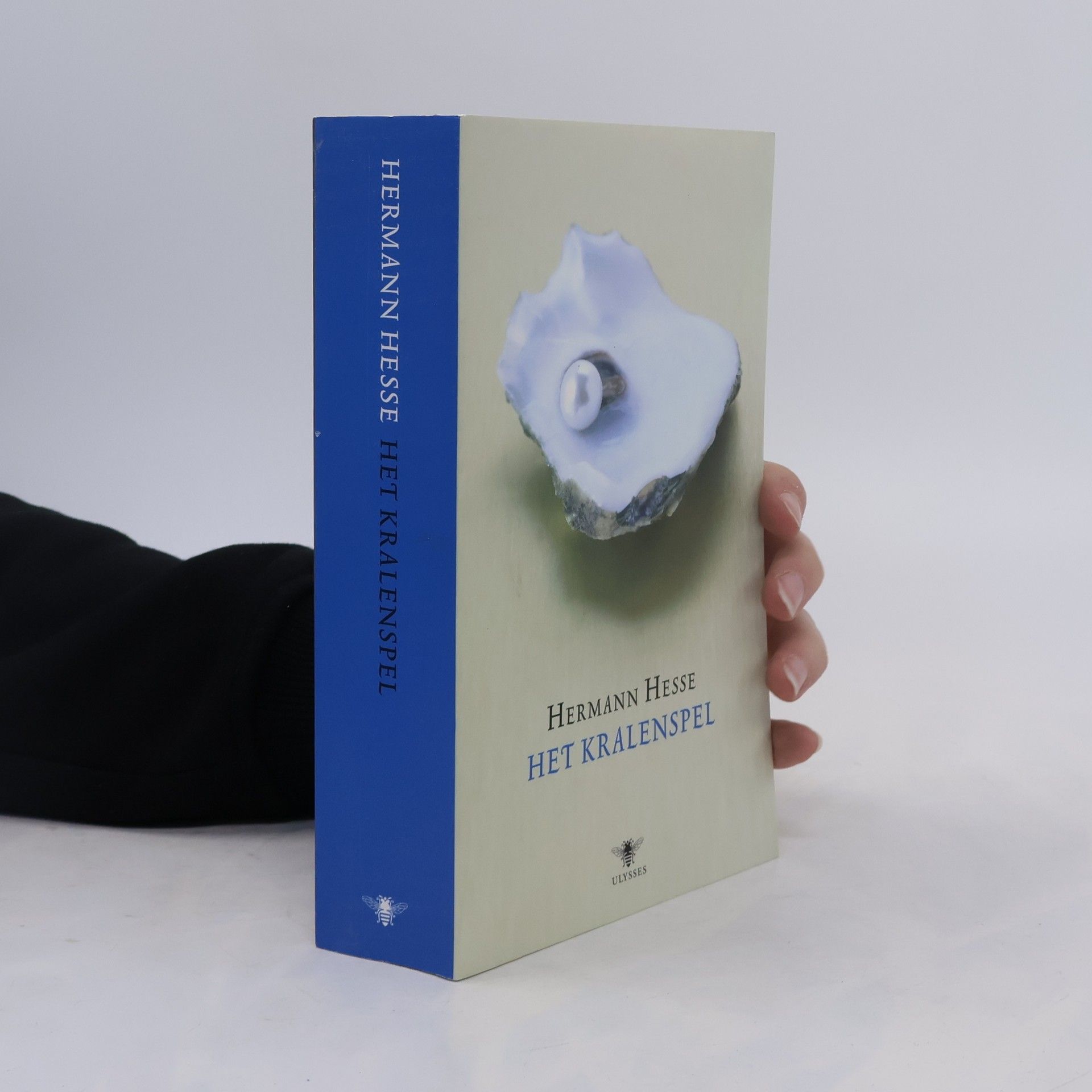 Hermann Hesse Ulysses klassieken: Het kralenspel