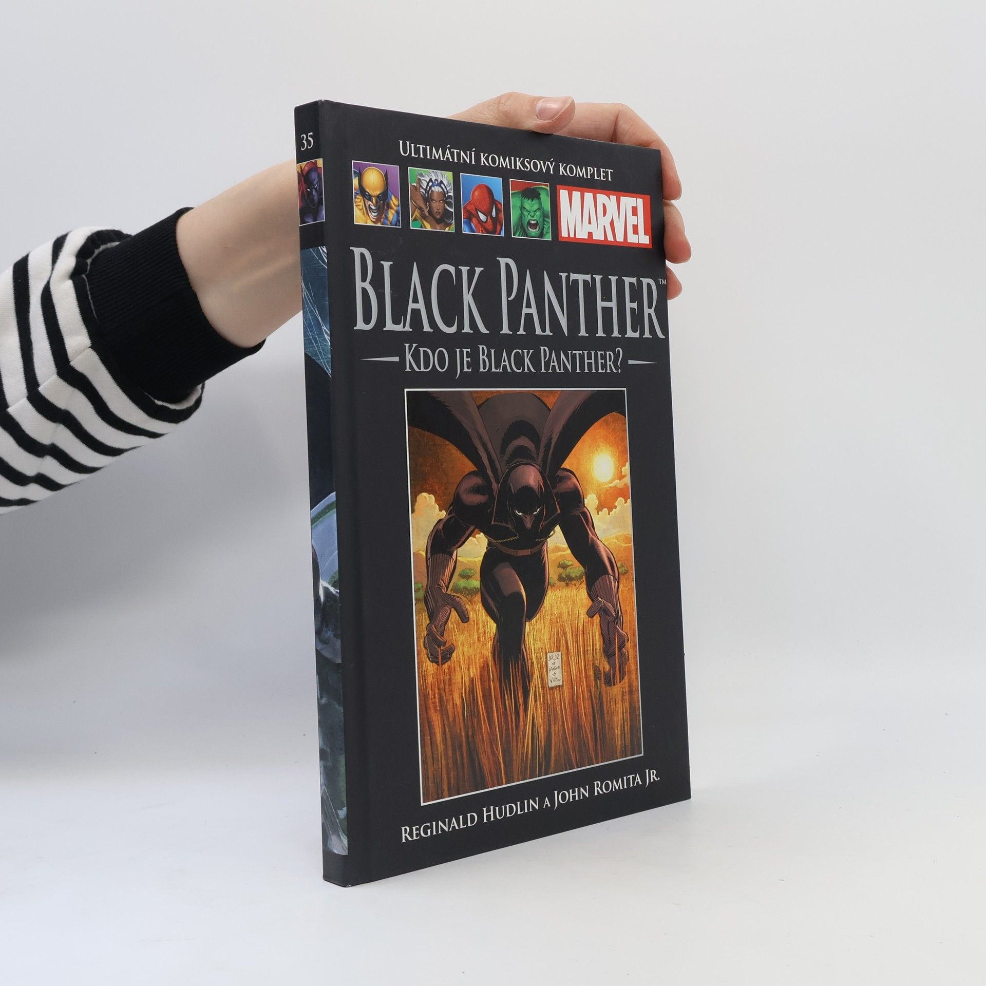 Black Panther. Kdo je Black Panther?