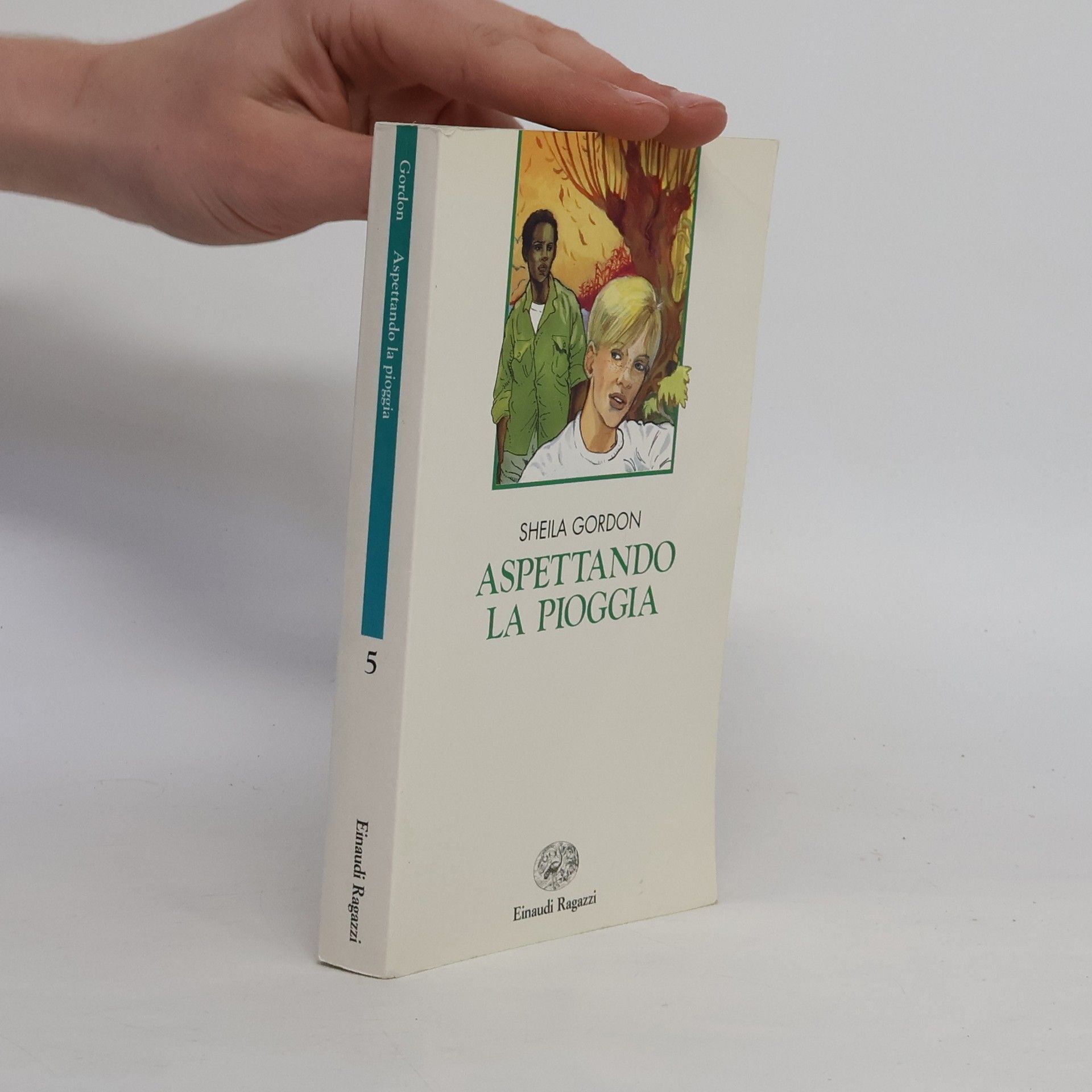Sheila Gordon Aspettando la pioggia