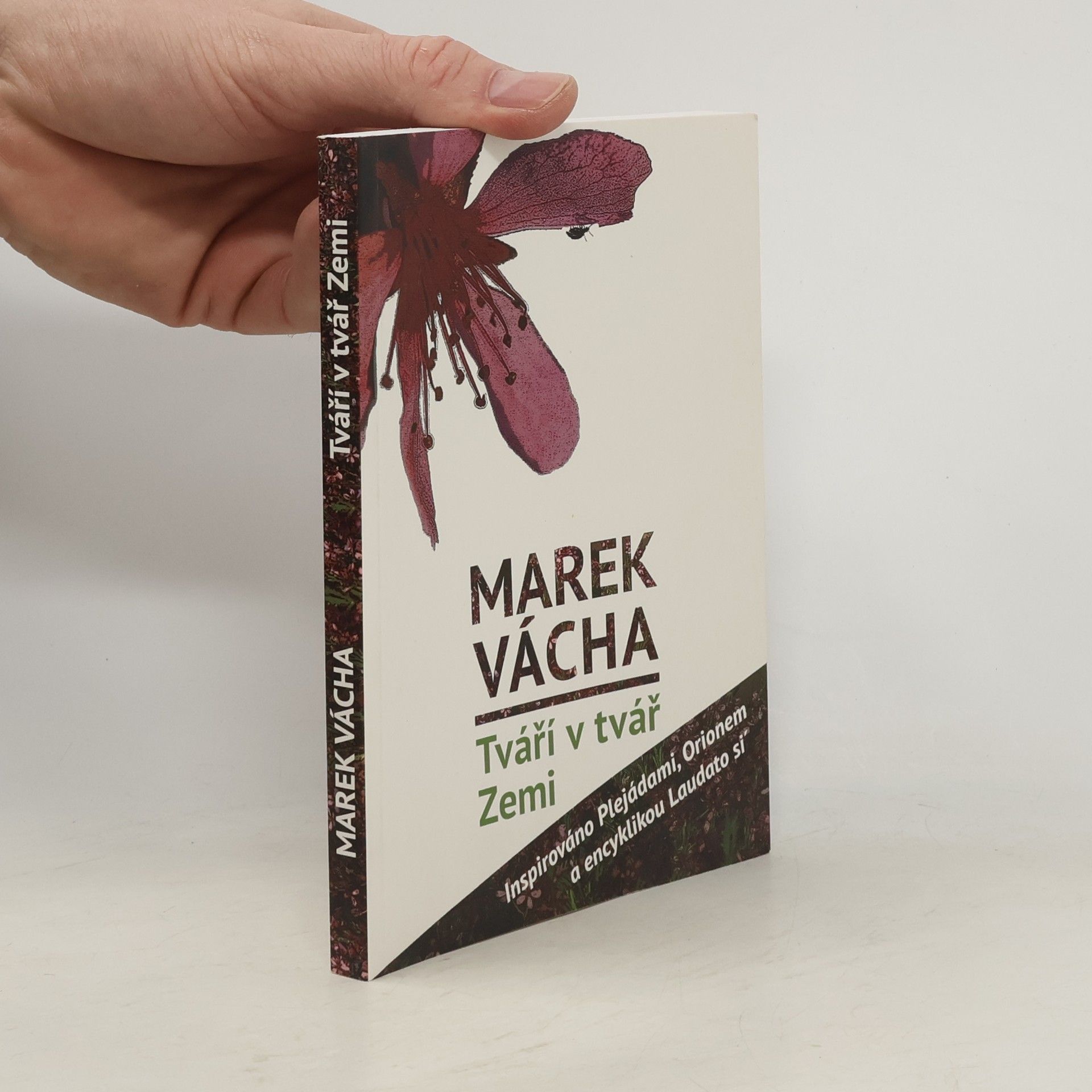 Marek Vácha Tváří v tvář Zemi