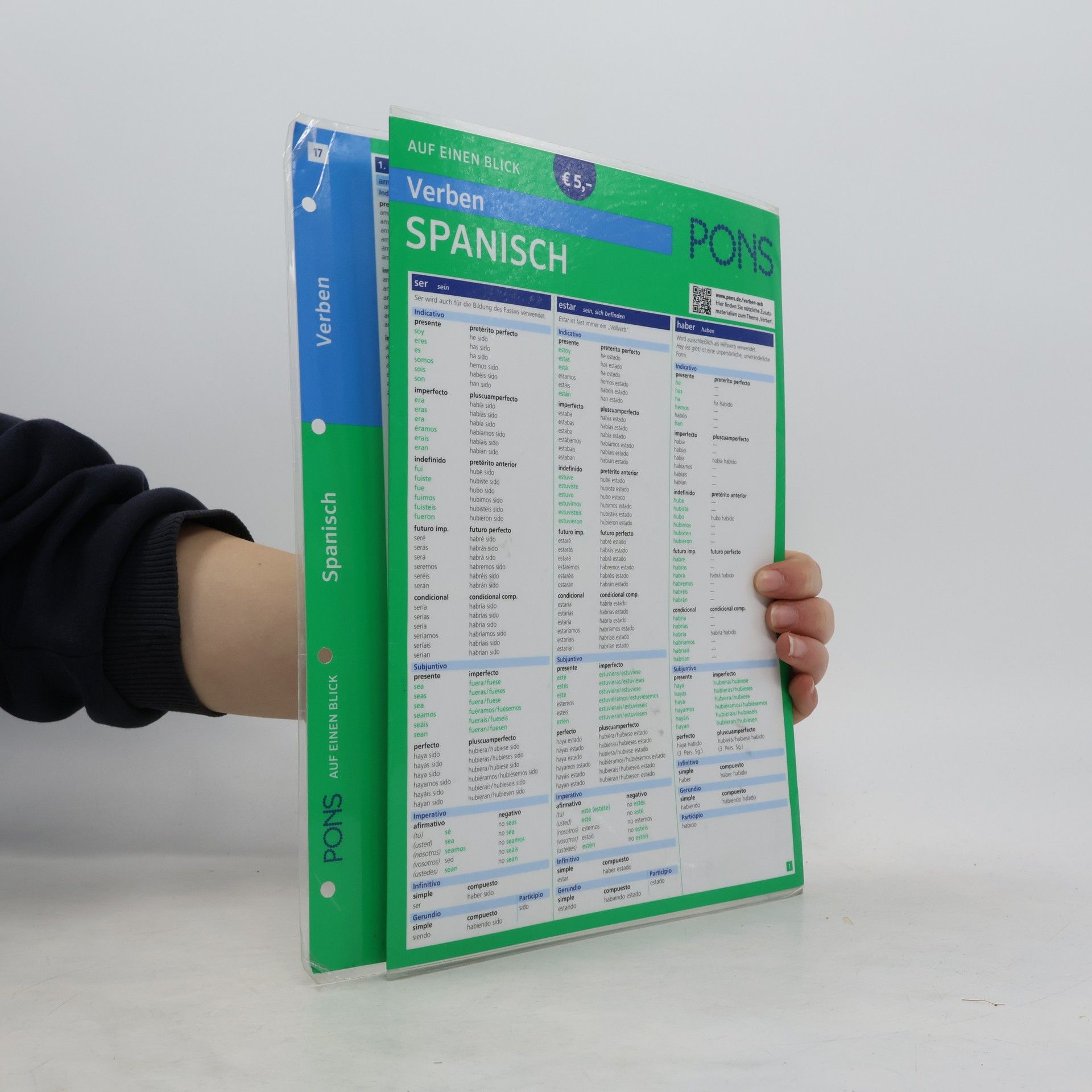 Kolektív autorov PONS Verben auf einen Blick Spanisch