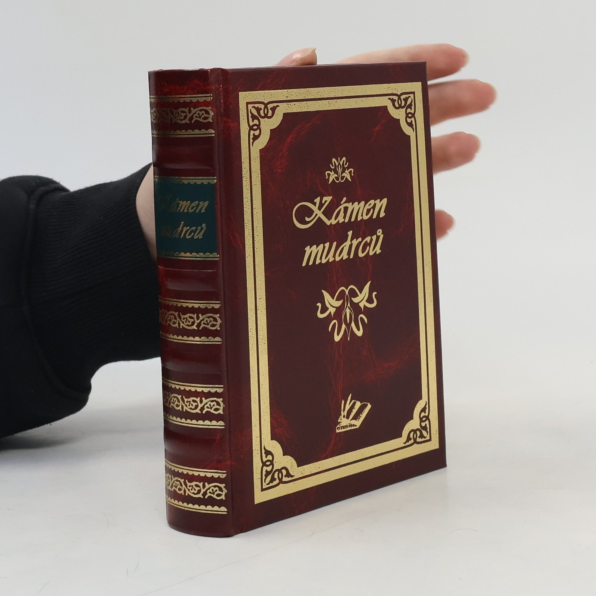 Anna Kulová Kámen mudrců