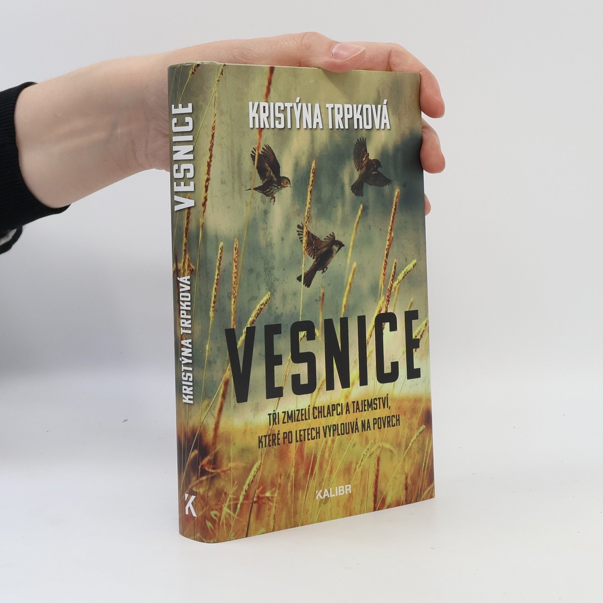 Kristýna Trpková Vesnice