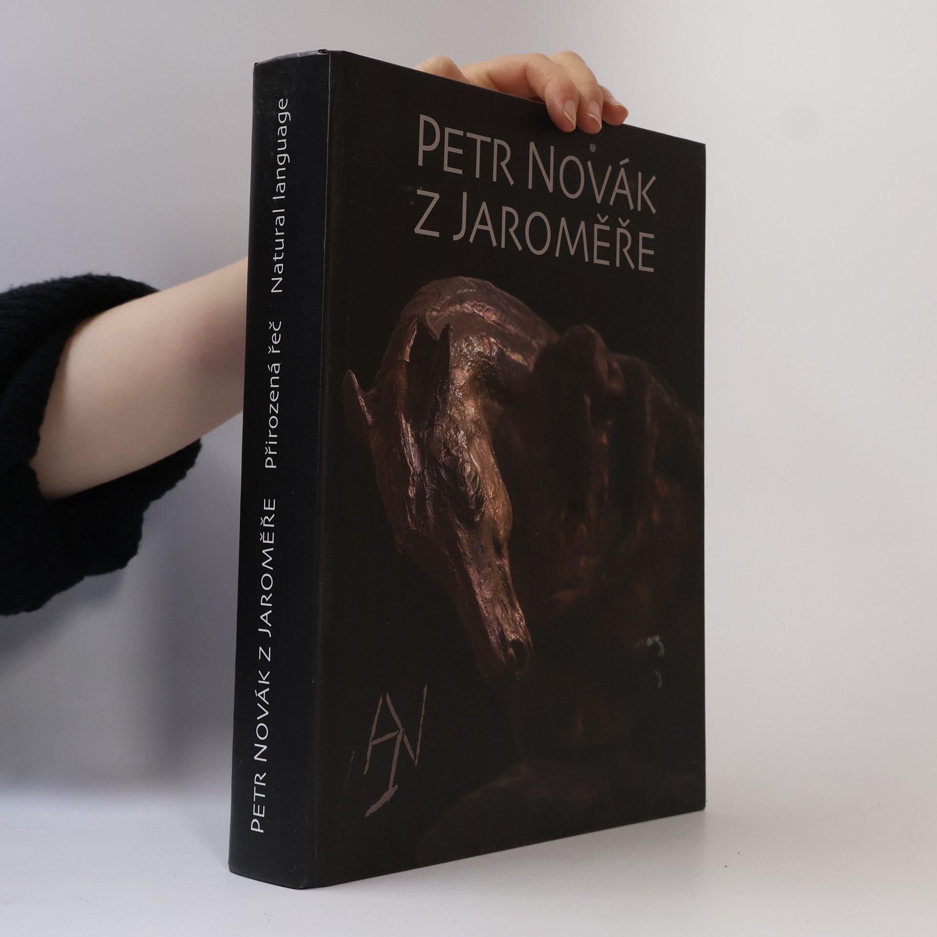 Petr Novák Přirozená řeč