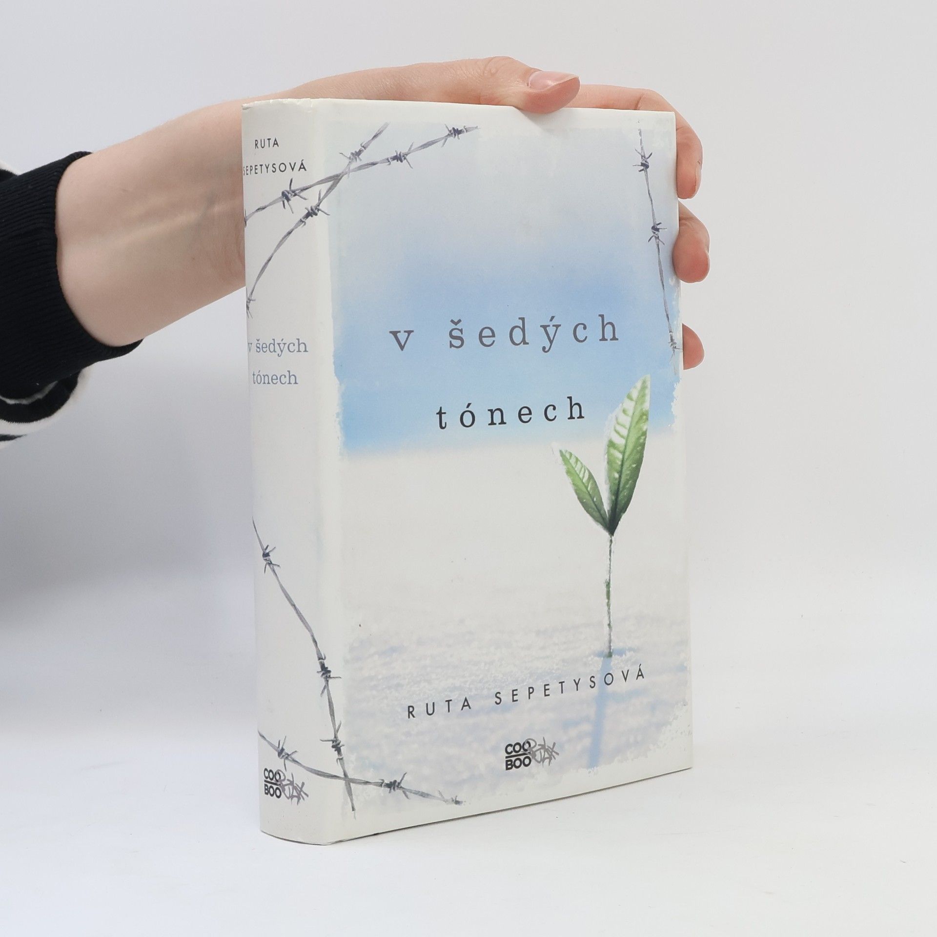Ruta Sepetys V šedých tónech