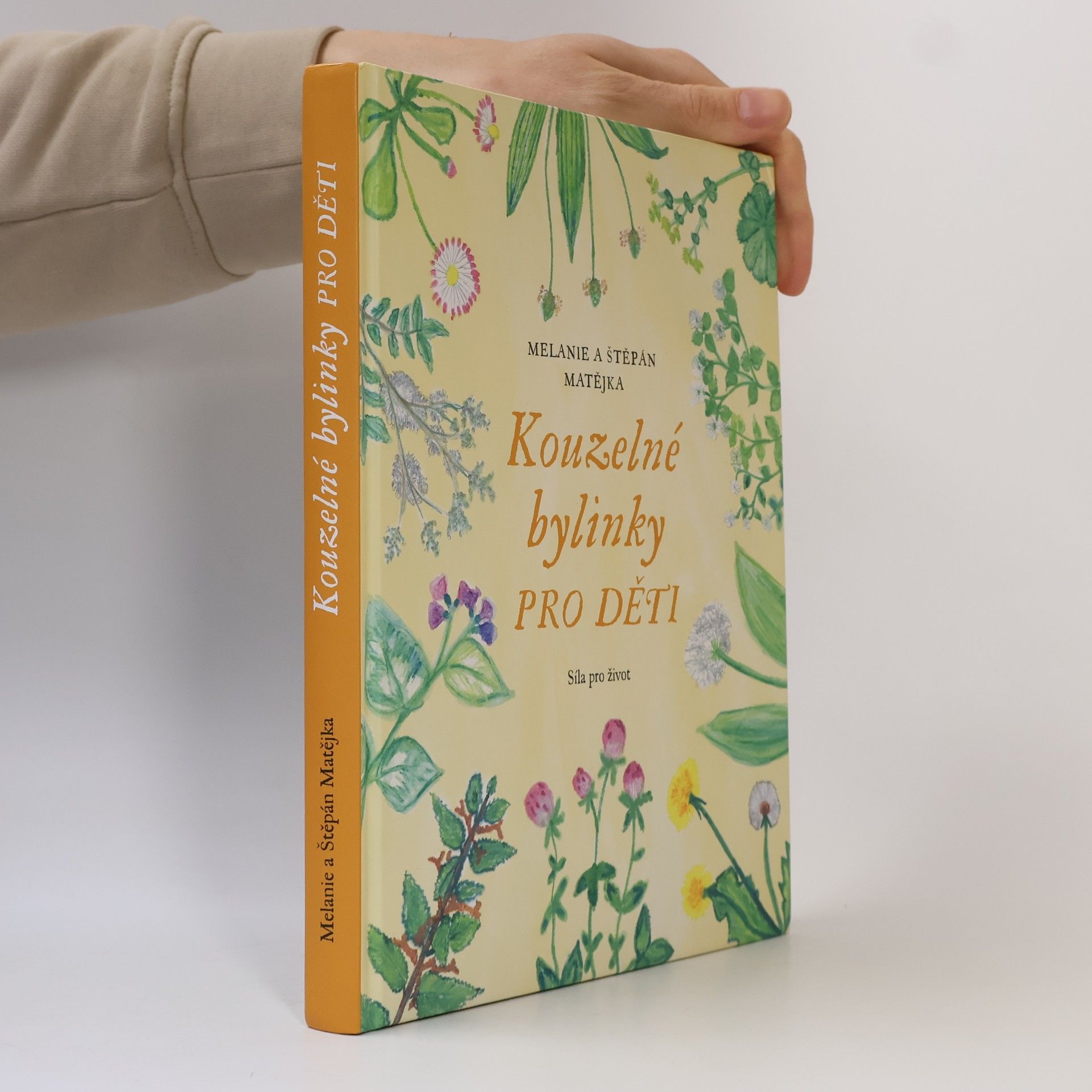 Štěpán Matějka Kouzelné bylinky pro děti