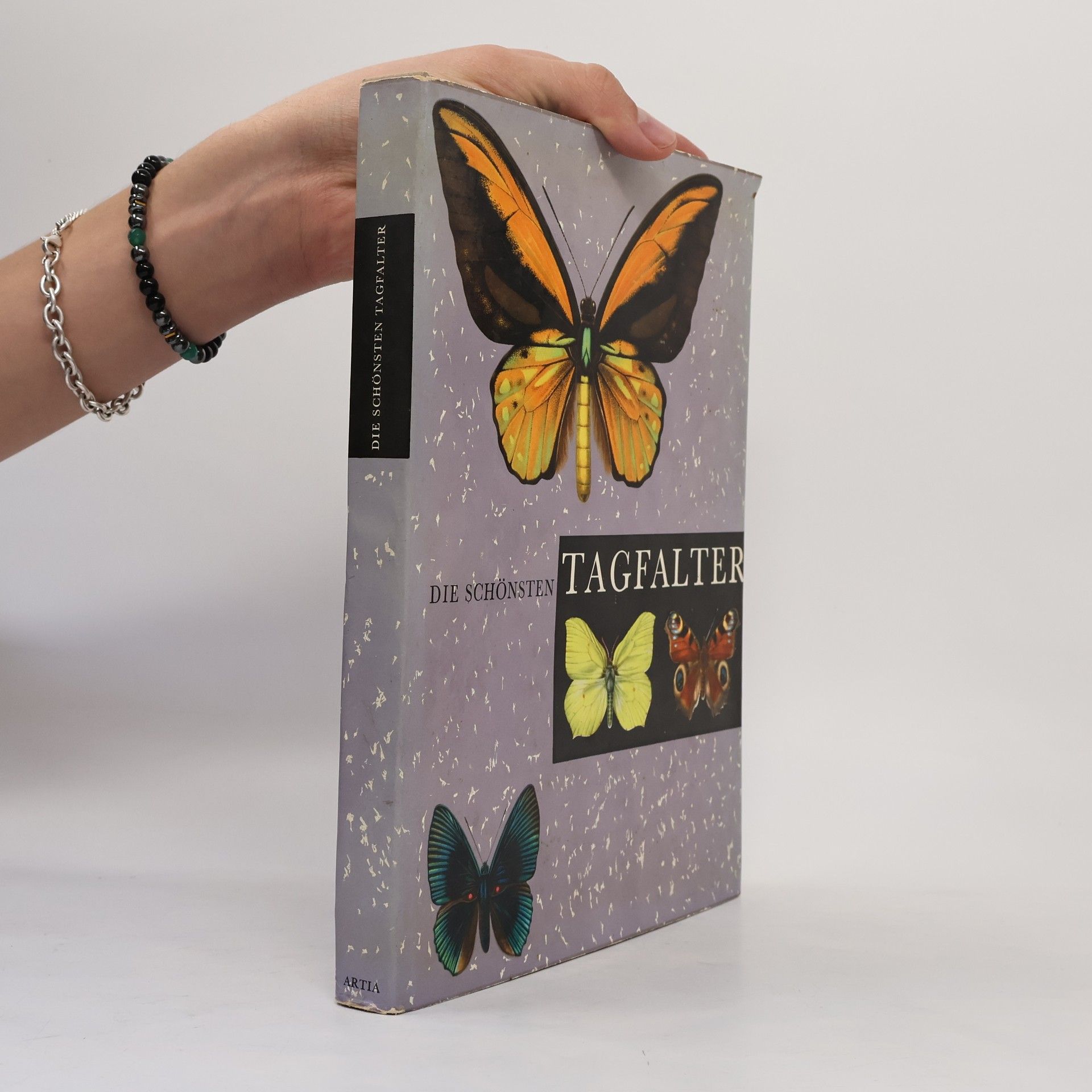 Die schönsten Tagfalter