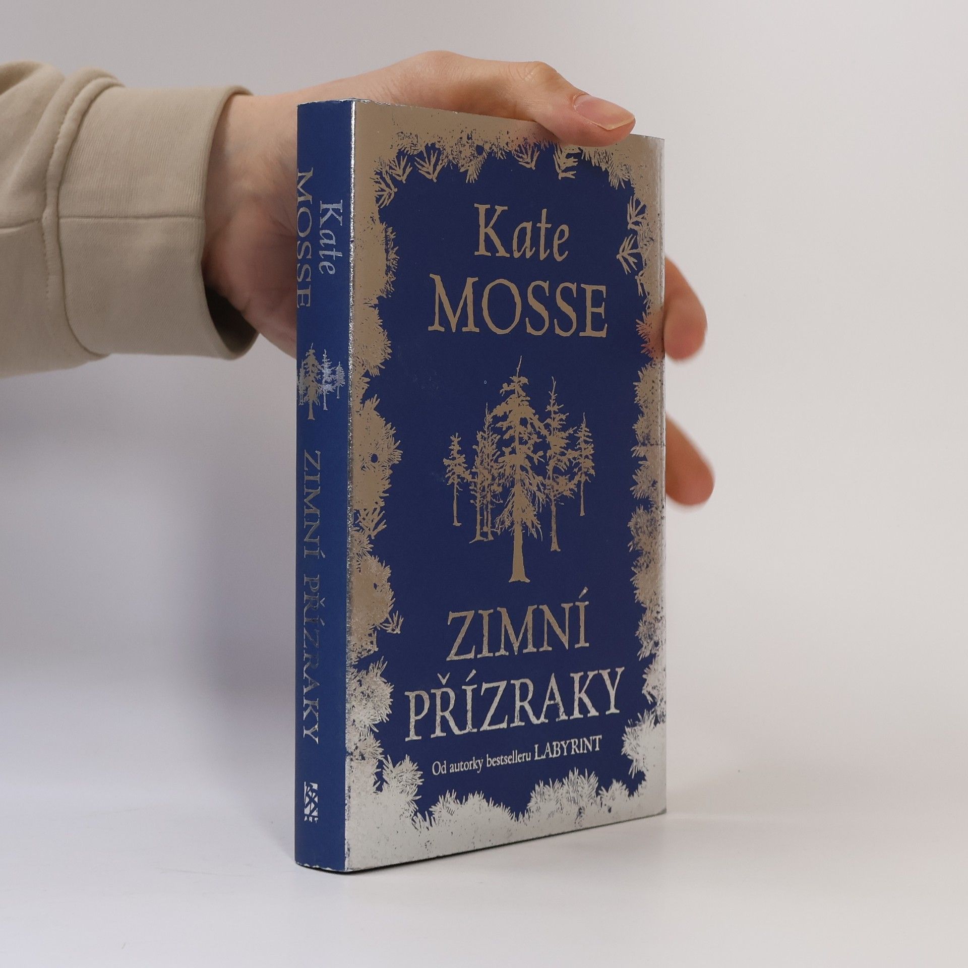 Kate Mosse Zimní přízraky