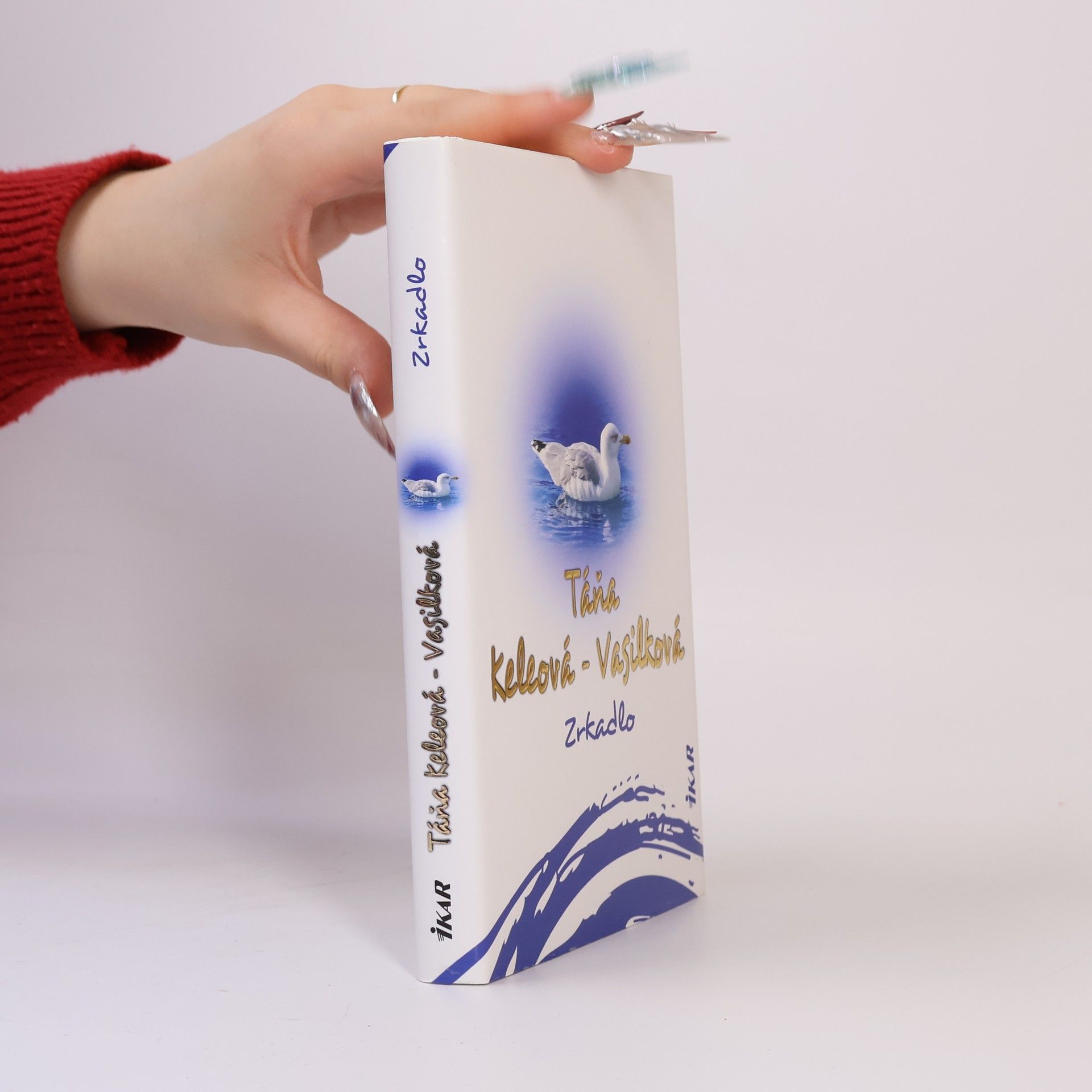 Táňa Keleová-Vasilková Zrkadlo