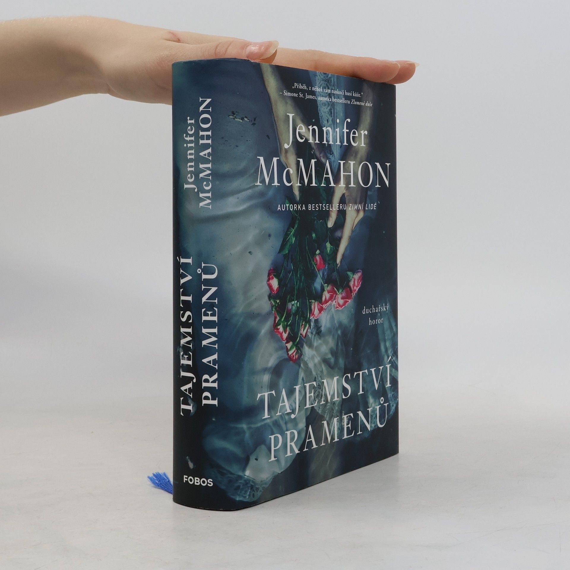 Jennifer McMahon Tajemství pramenů