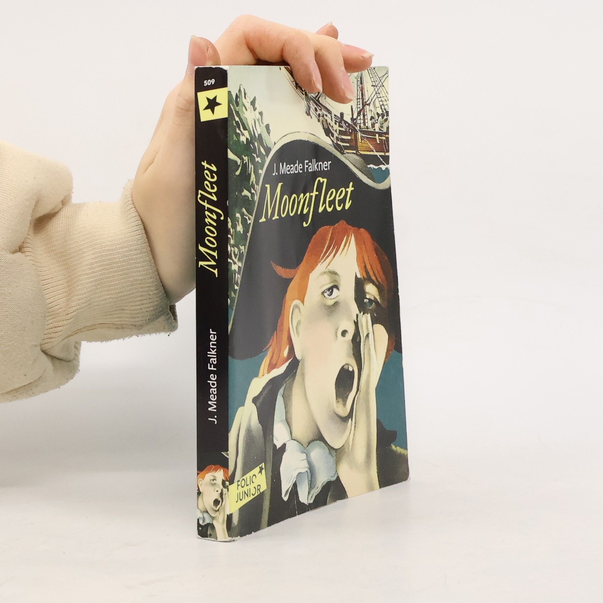 Rozier-Gaudriault Moonfleet