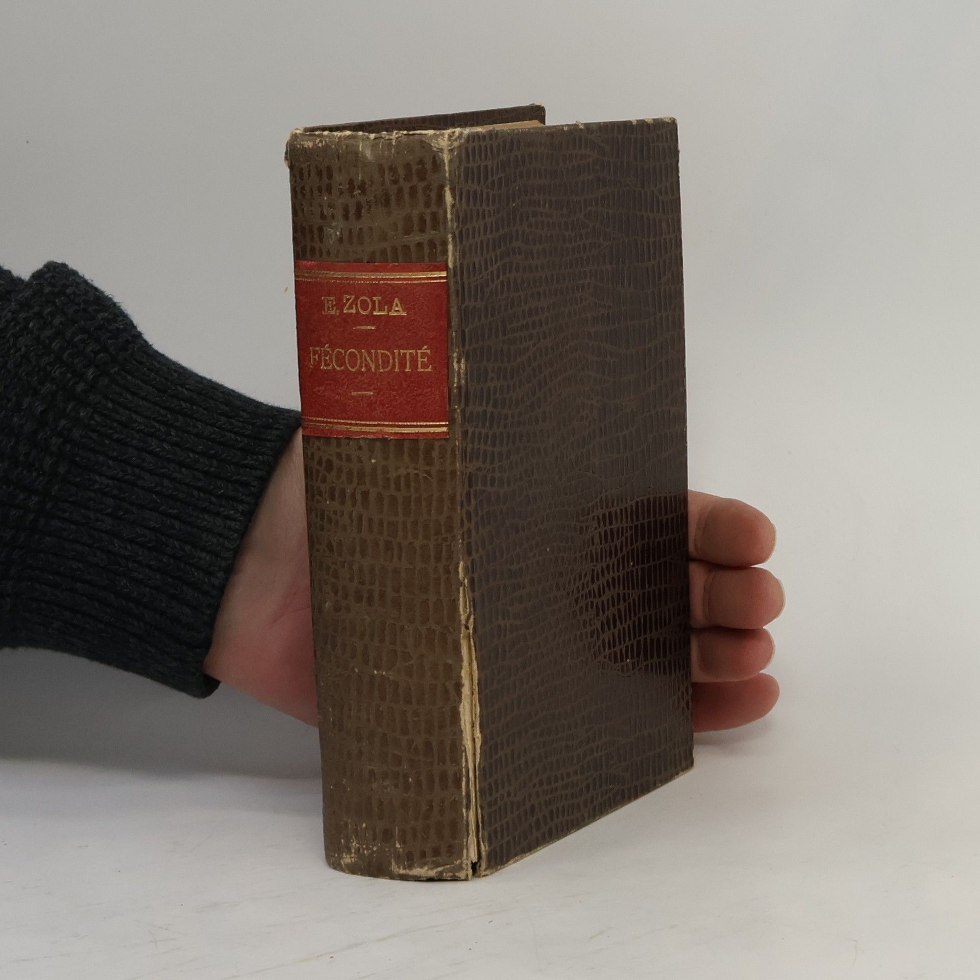 Émile Zola Fécondité