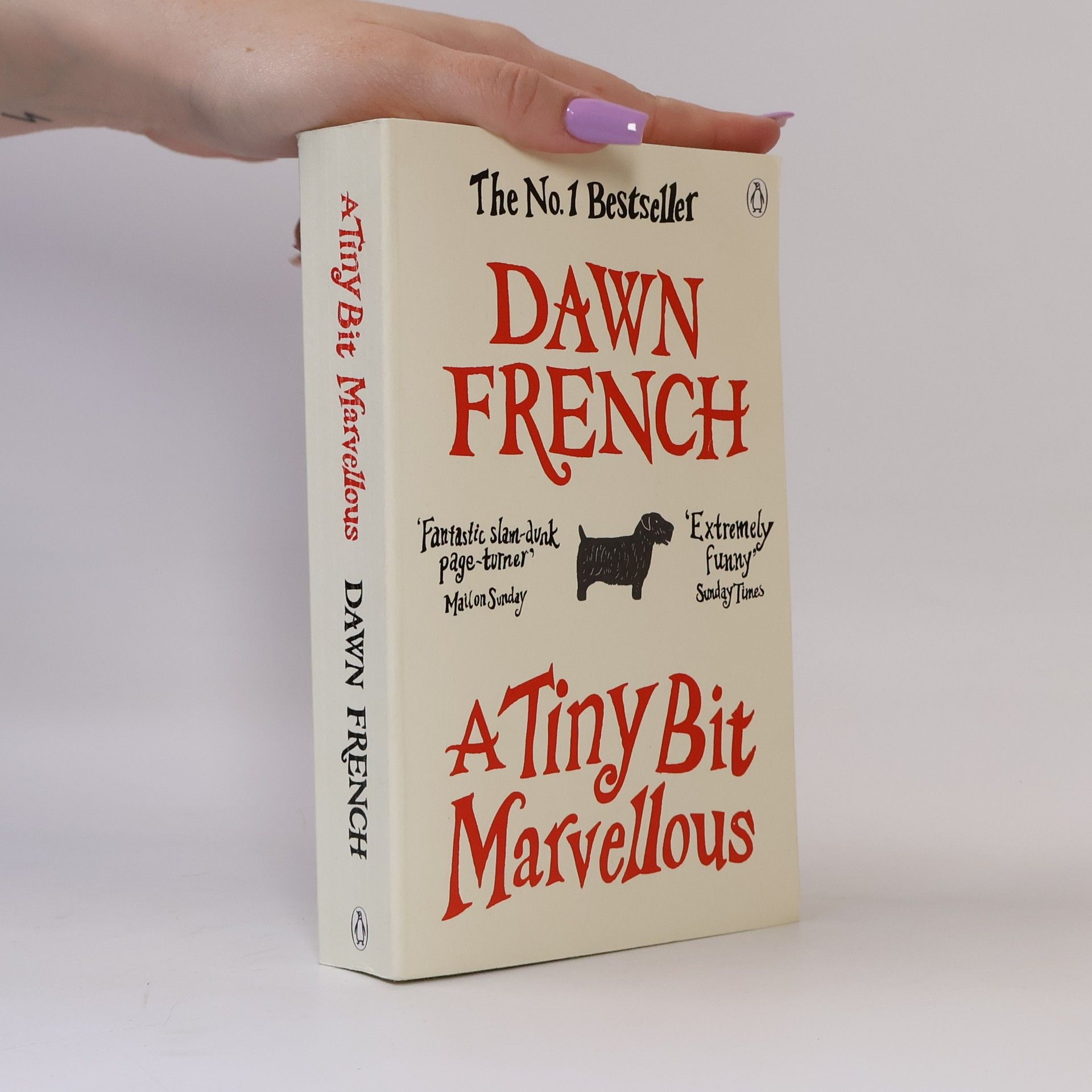 Dawn French A Tiny Bit Marvellous