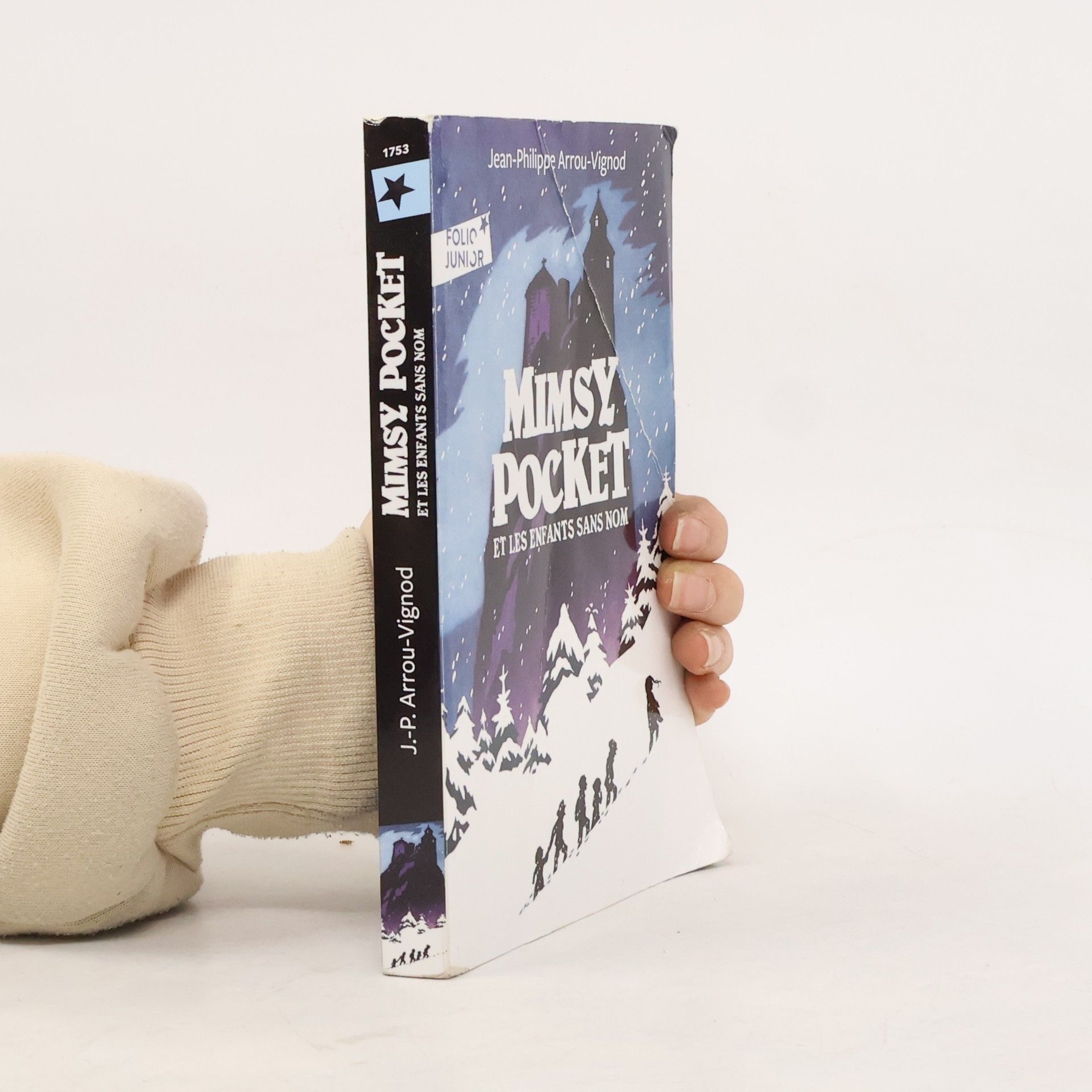 Jean-Philippe Arrou-Vignod Mimsy Pocket et les enfants sans nom