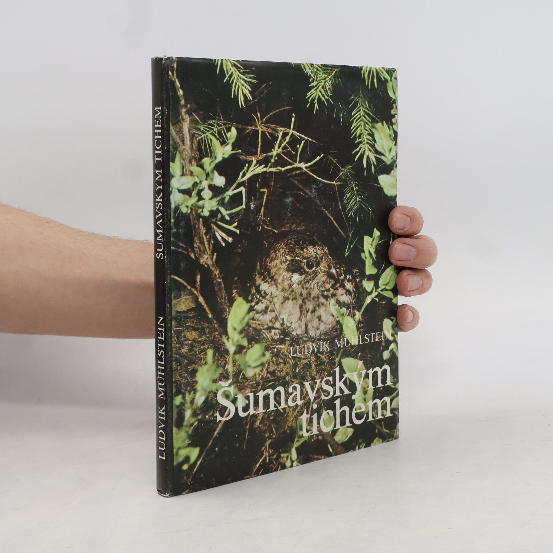 Ludvík Mühlstein Šumavským tichem