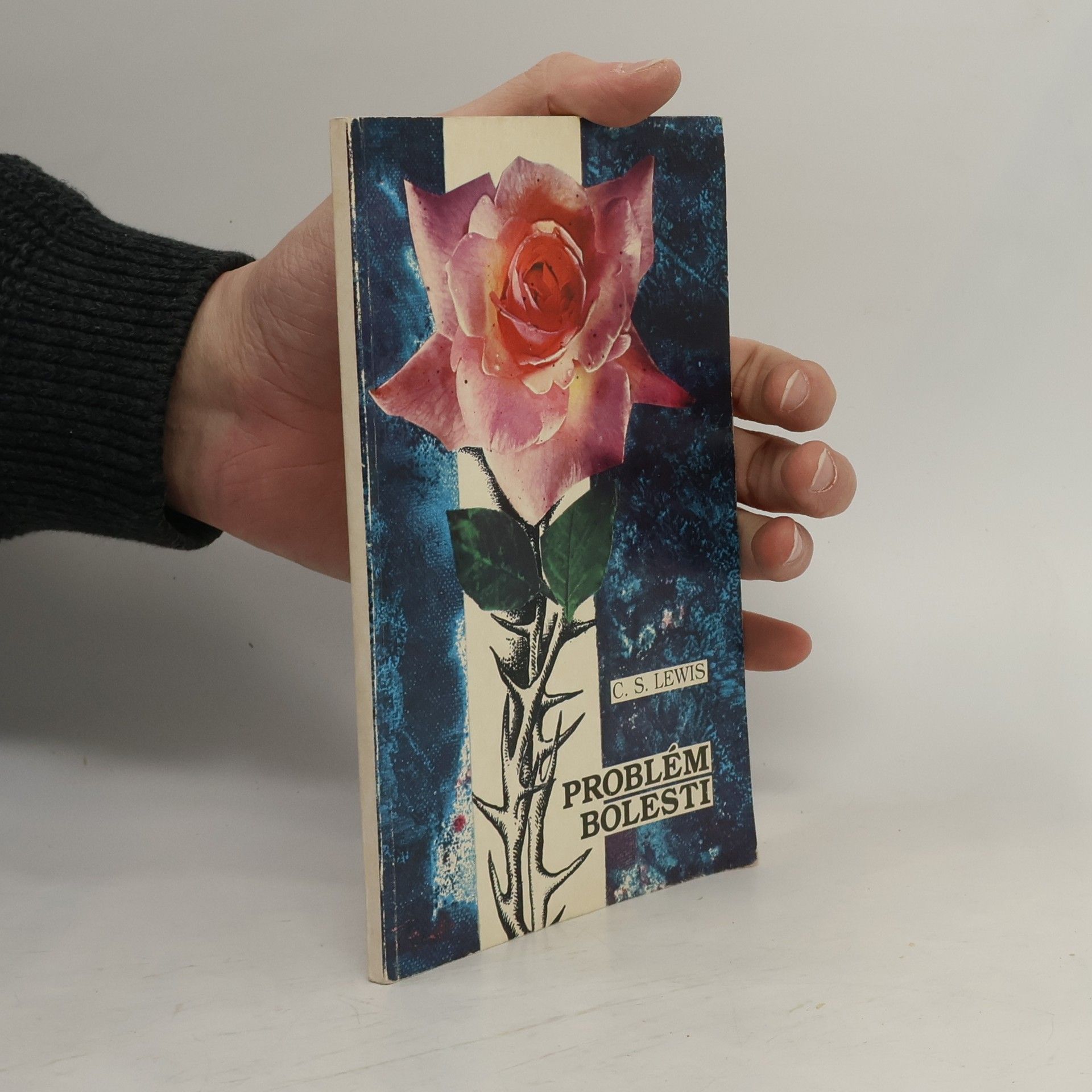 Clive Staples Lewis Problém bolesti