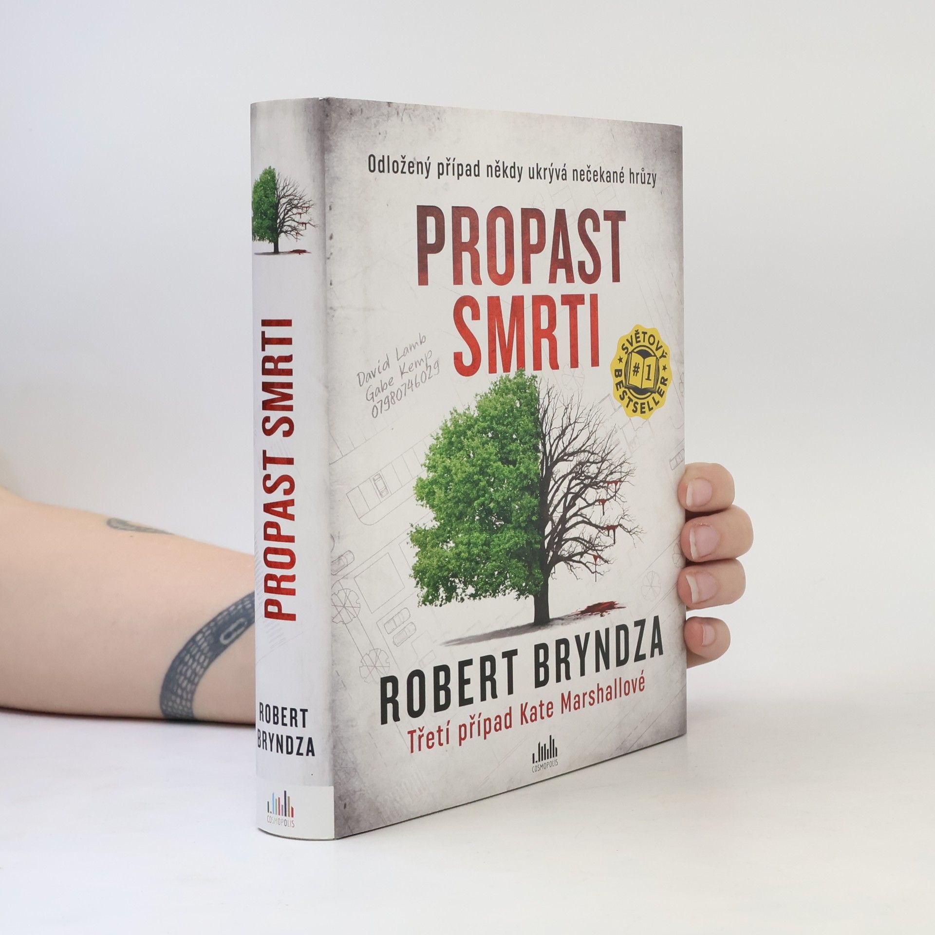 Robert Bryndza Propast smrti