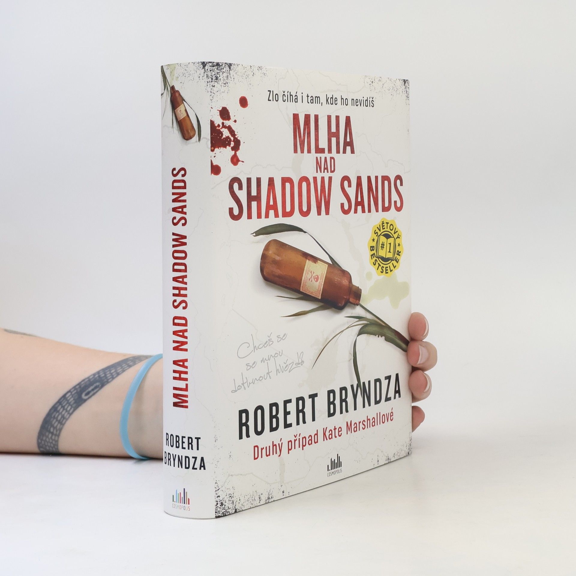 Robert Bryndza Mlha nad Shadow Sands