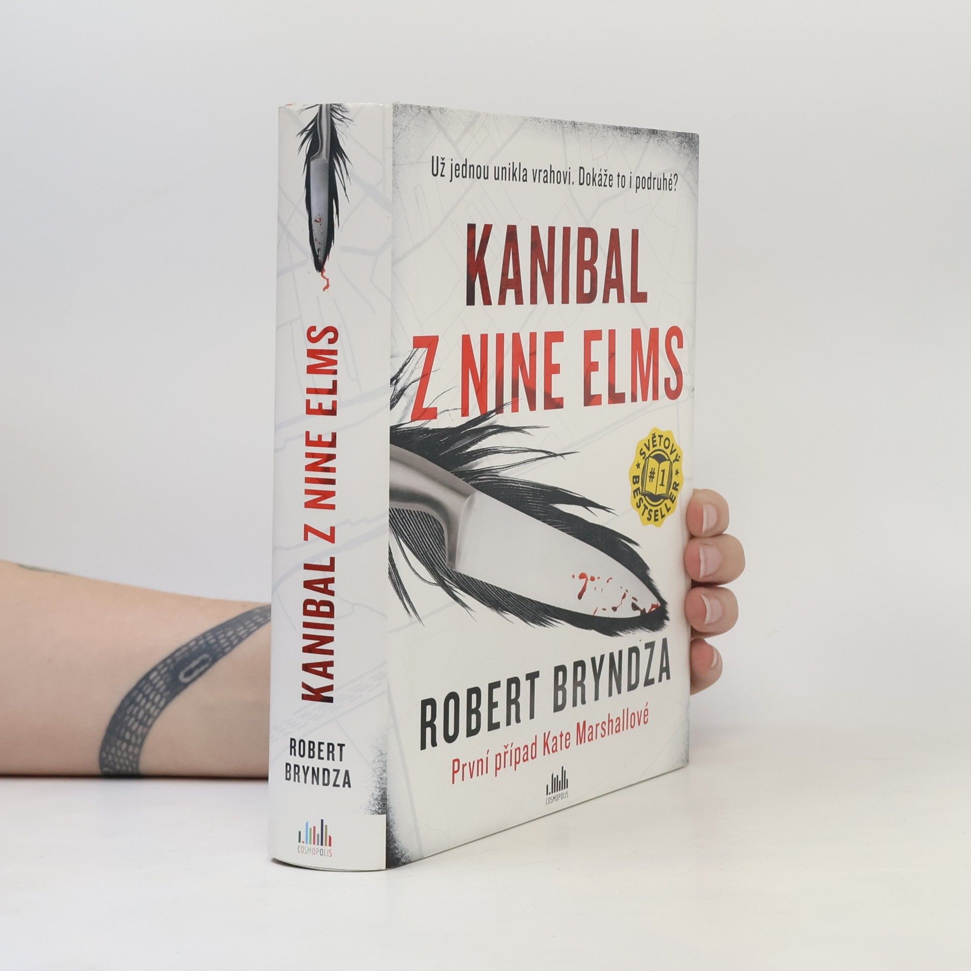 Robert Bryndza Kanibal z Nine Elms