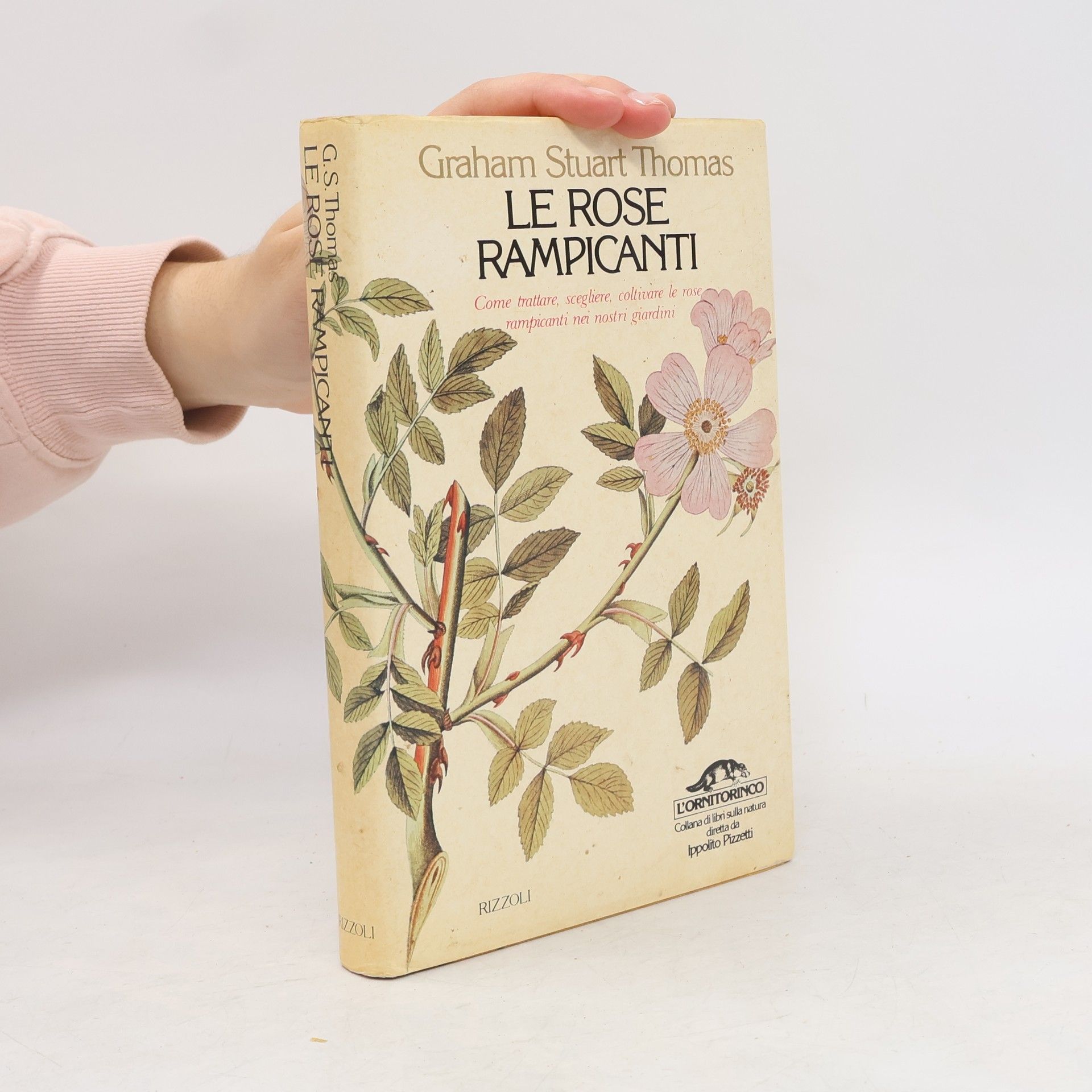 Graham Stuart Thomas Le rose rampicanti