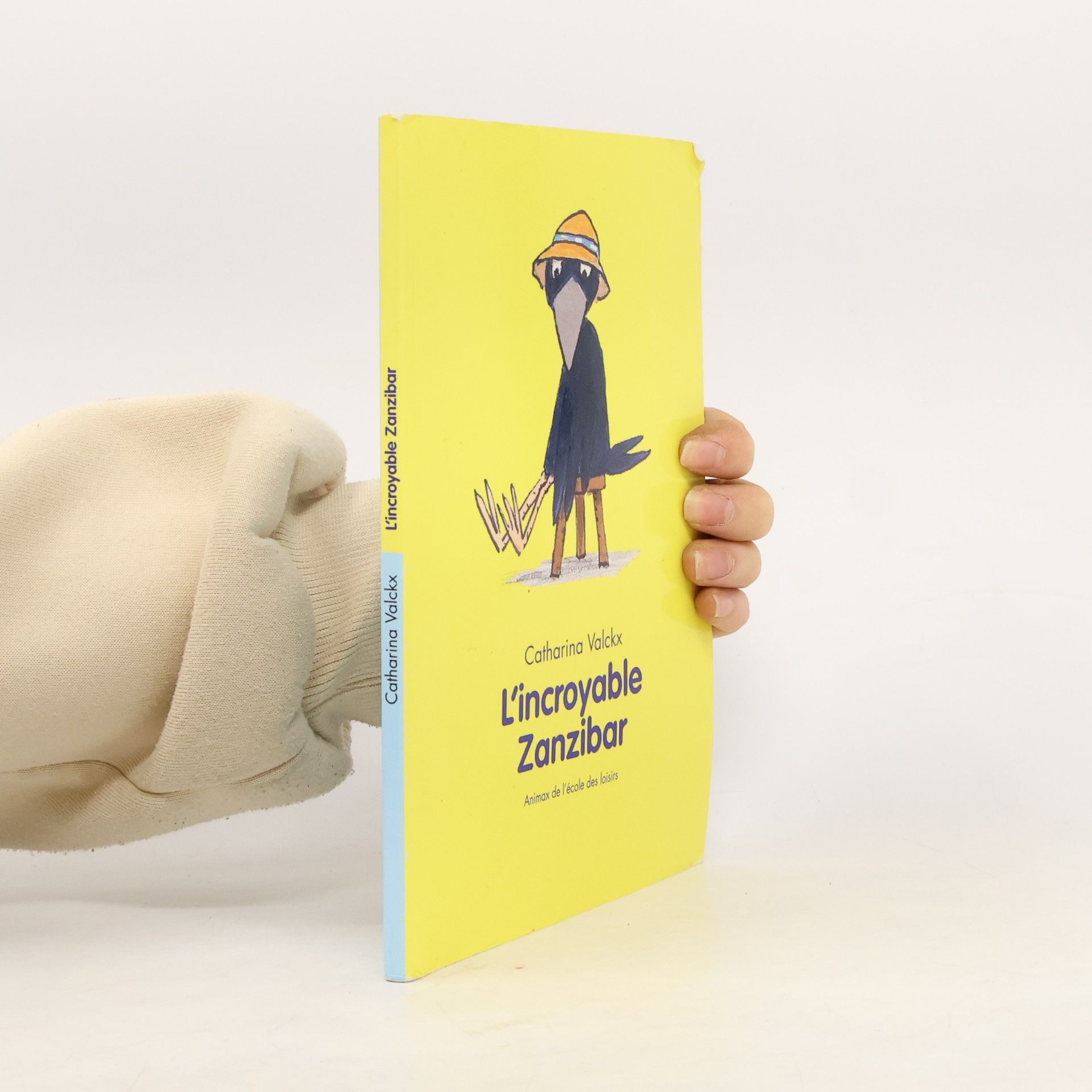 Collectif d'auteurs L'incroyable Zanzibar