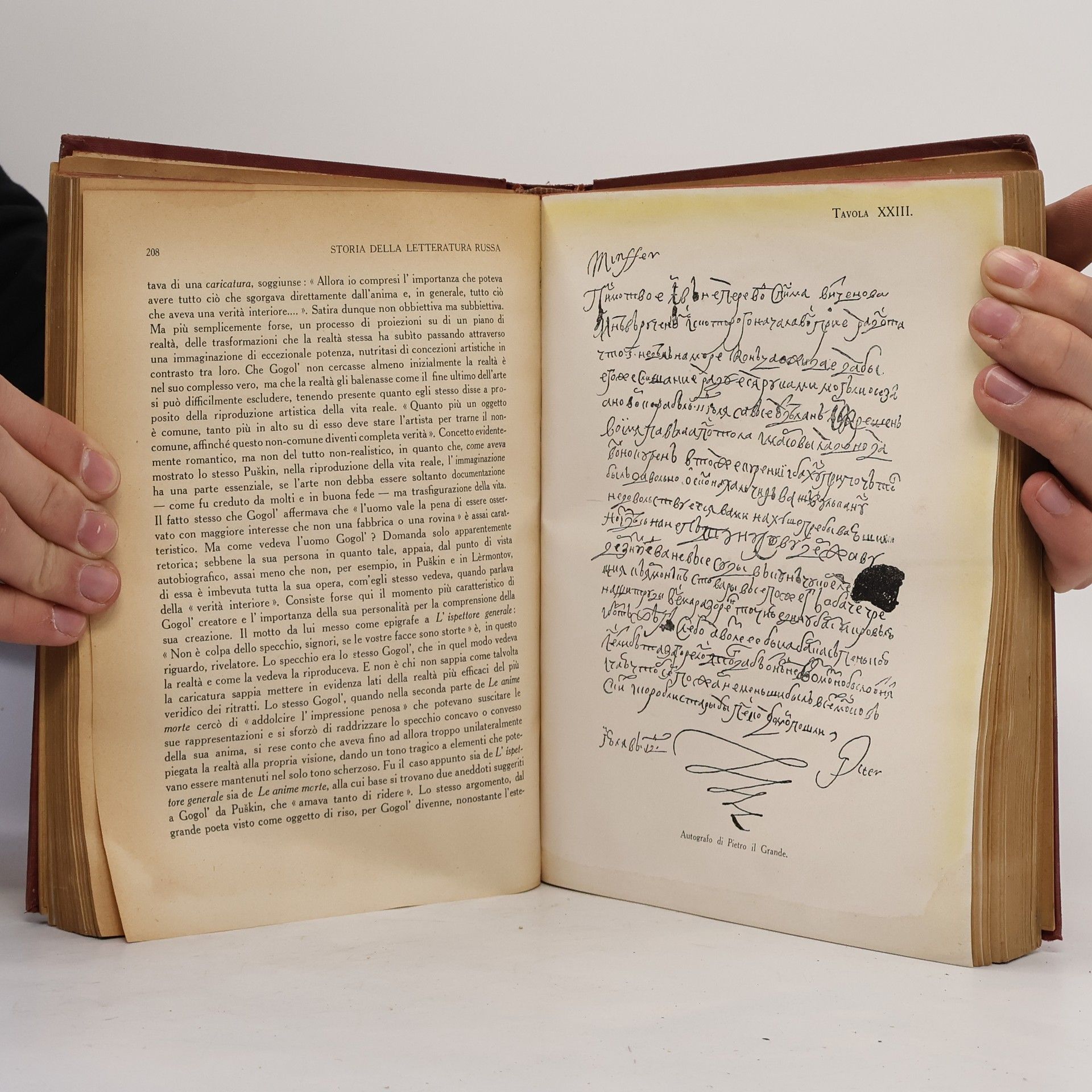Ettore Logatto Storia della letteratura russa