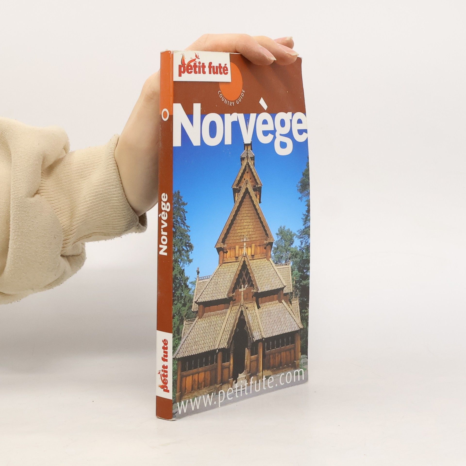 Dominique Auzias Norvège 2009 Petit Futé