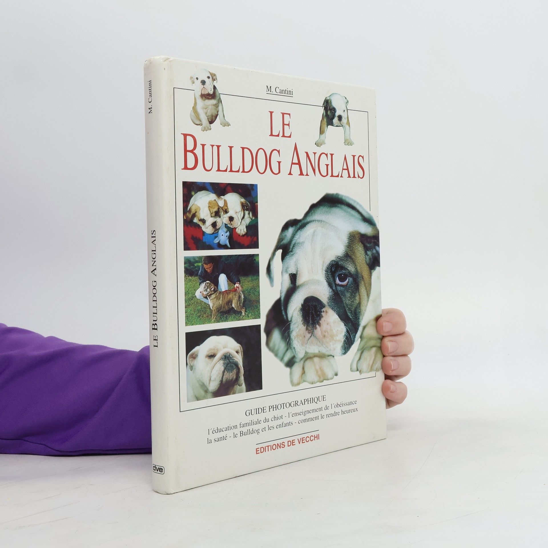 Micaela Cantini Le Bulldog anglais