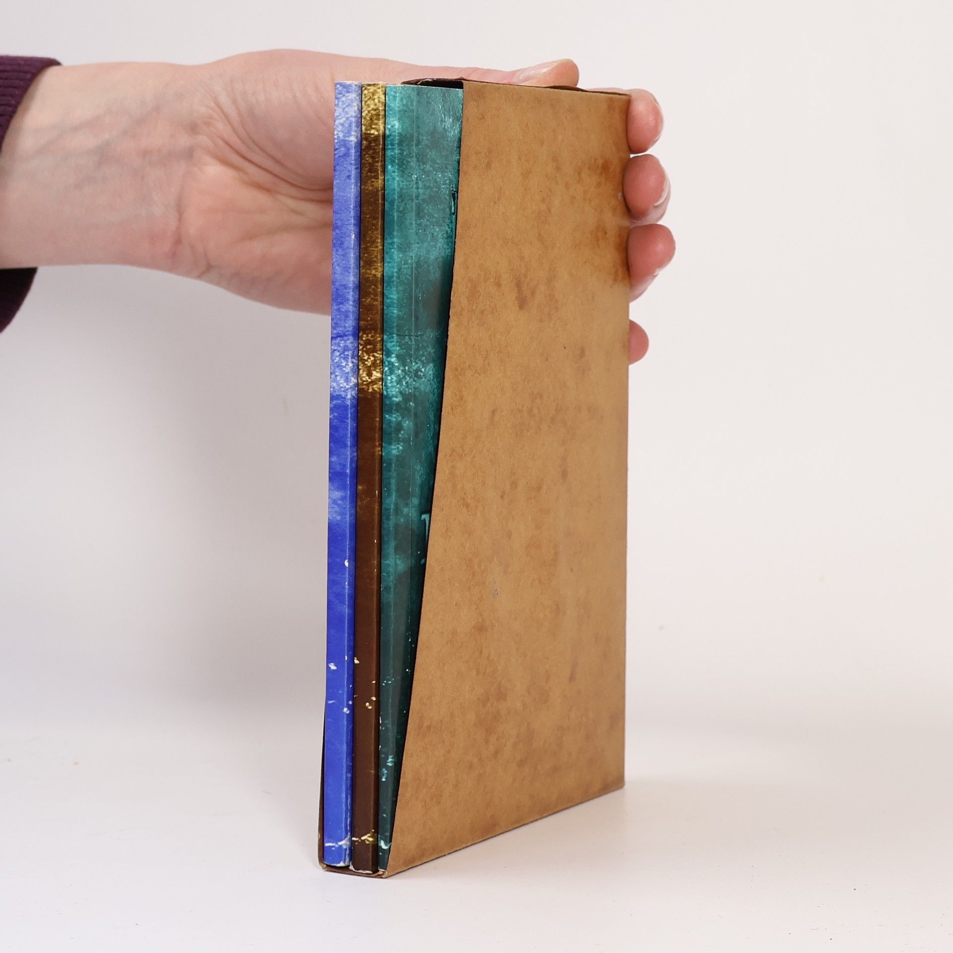 Antonín Barcuch Ostrava historická, aneb, Jak žili naši předkové. Ostravsko-český slovník.  Landecké pověsti aneb povídánky z Landeckého kopce