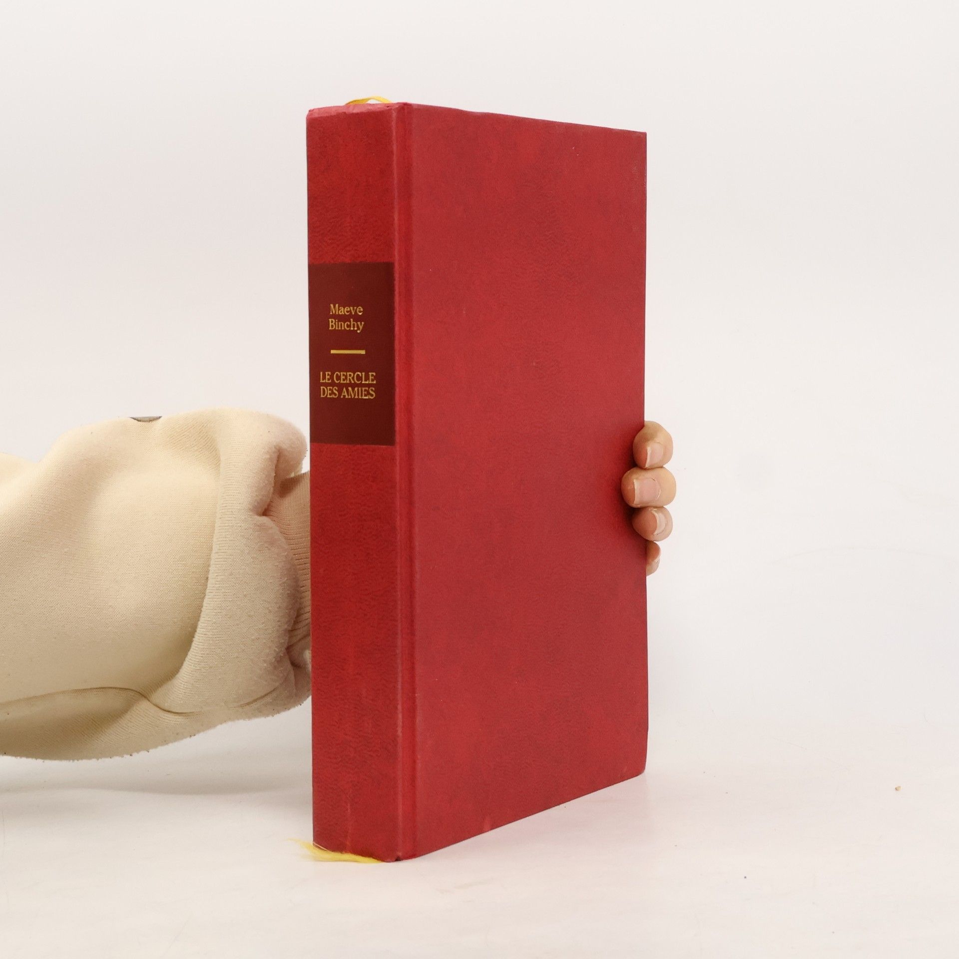 Maeve Binchy Le cercle des amies