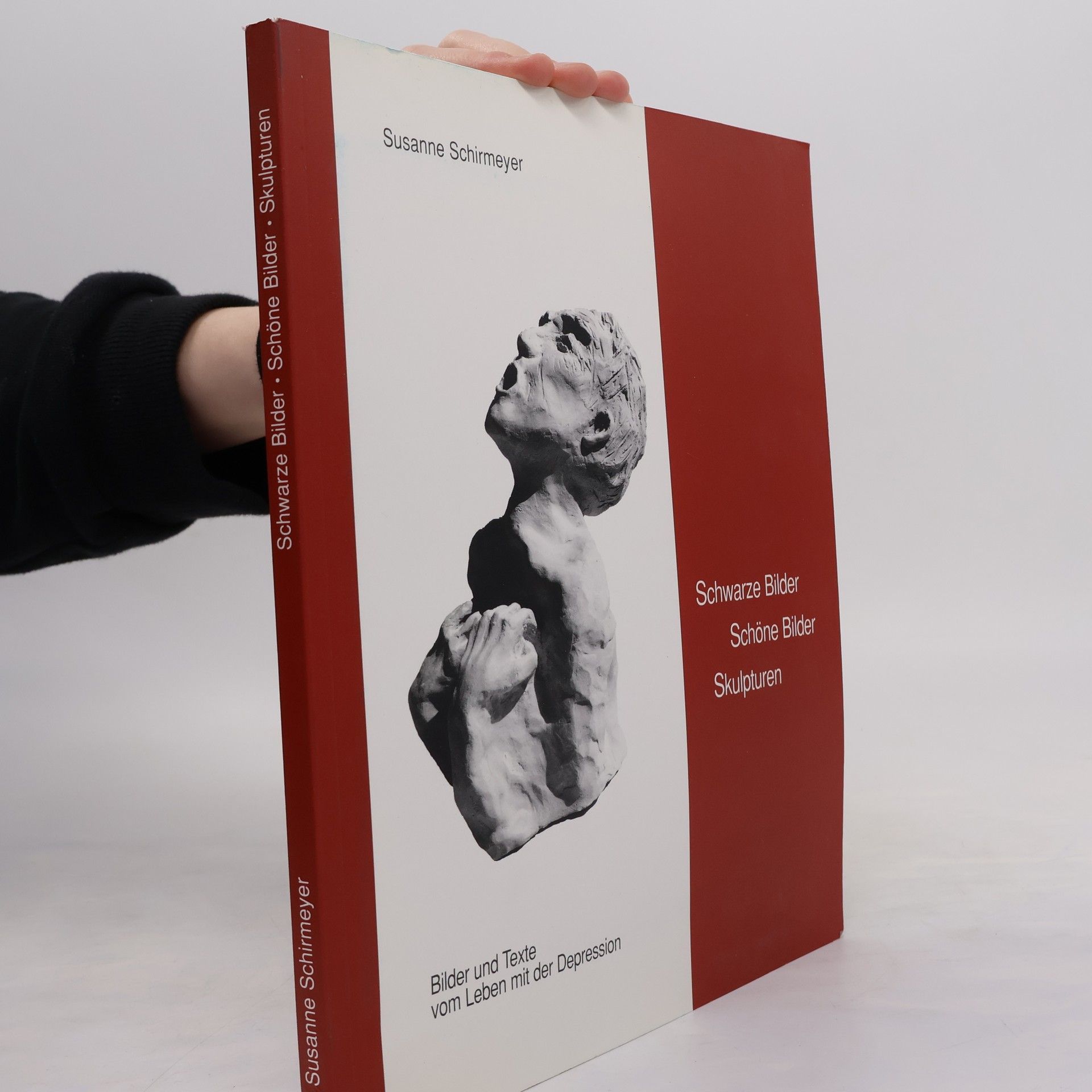 Susanne Schirmeyer Schwarze Bilder, schöne Bilder, Skulpturen