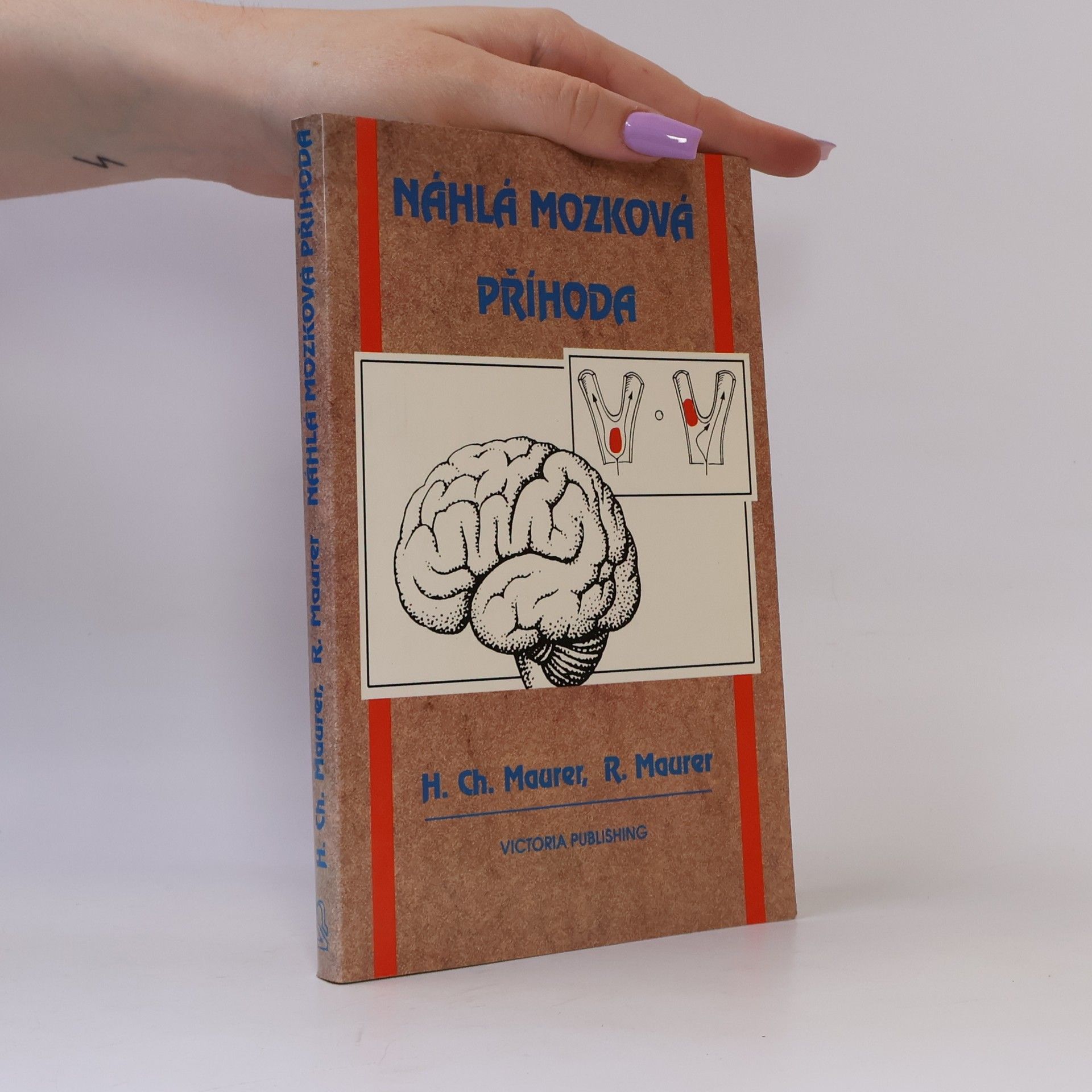 Horst Christian Mäurer Náhlá mozková příhoda