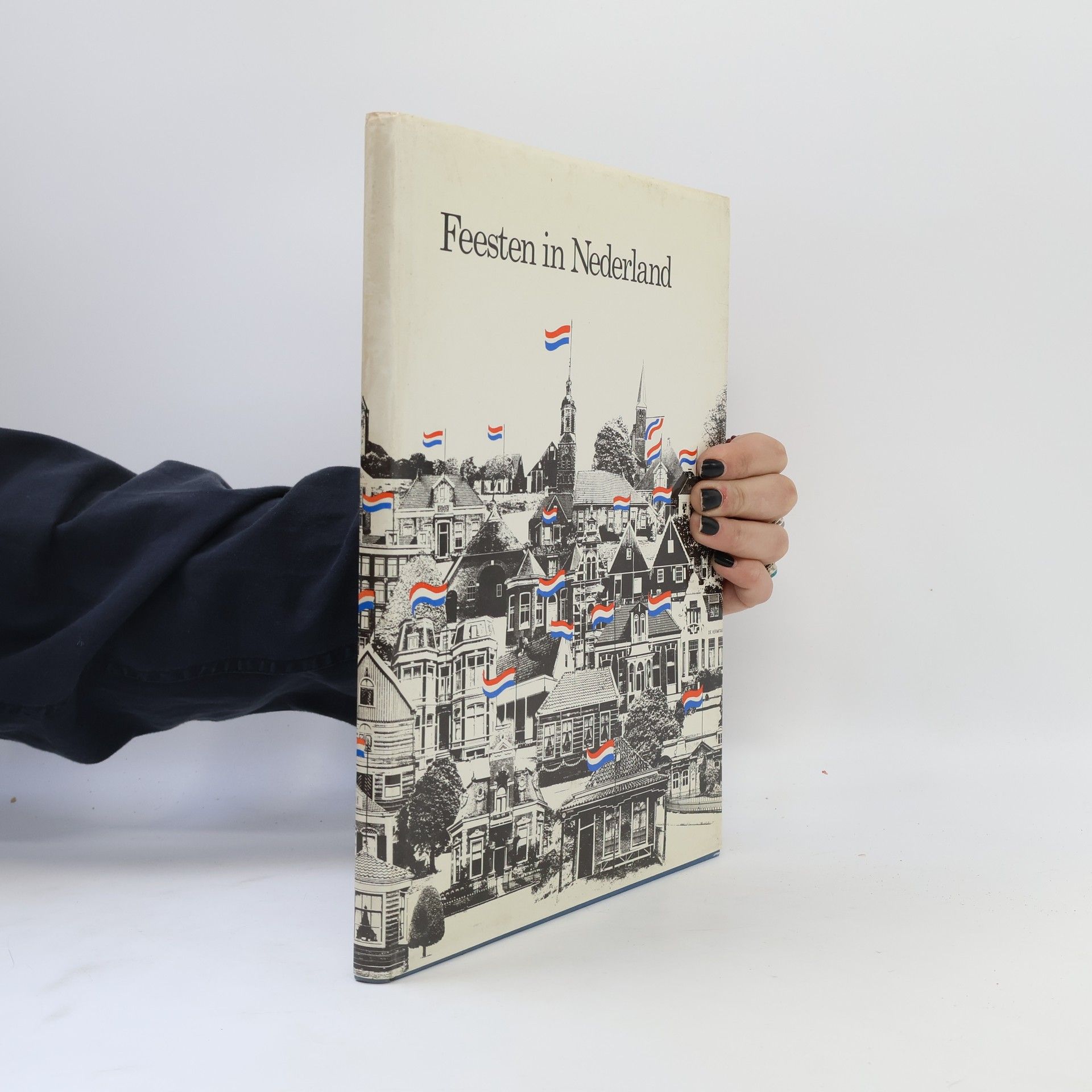 Ton de Joode Feesten in nederland