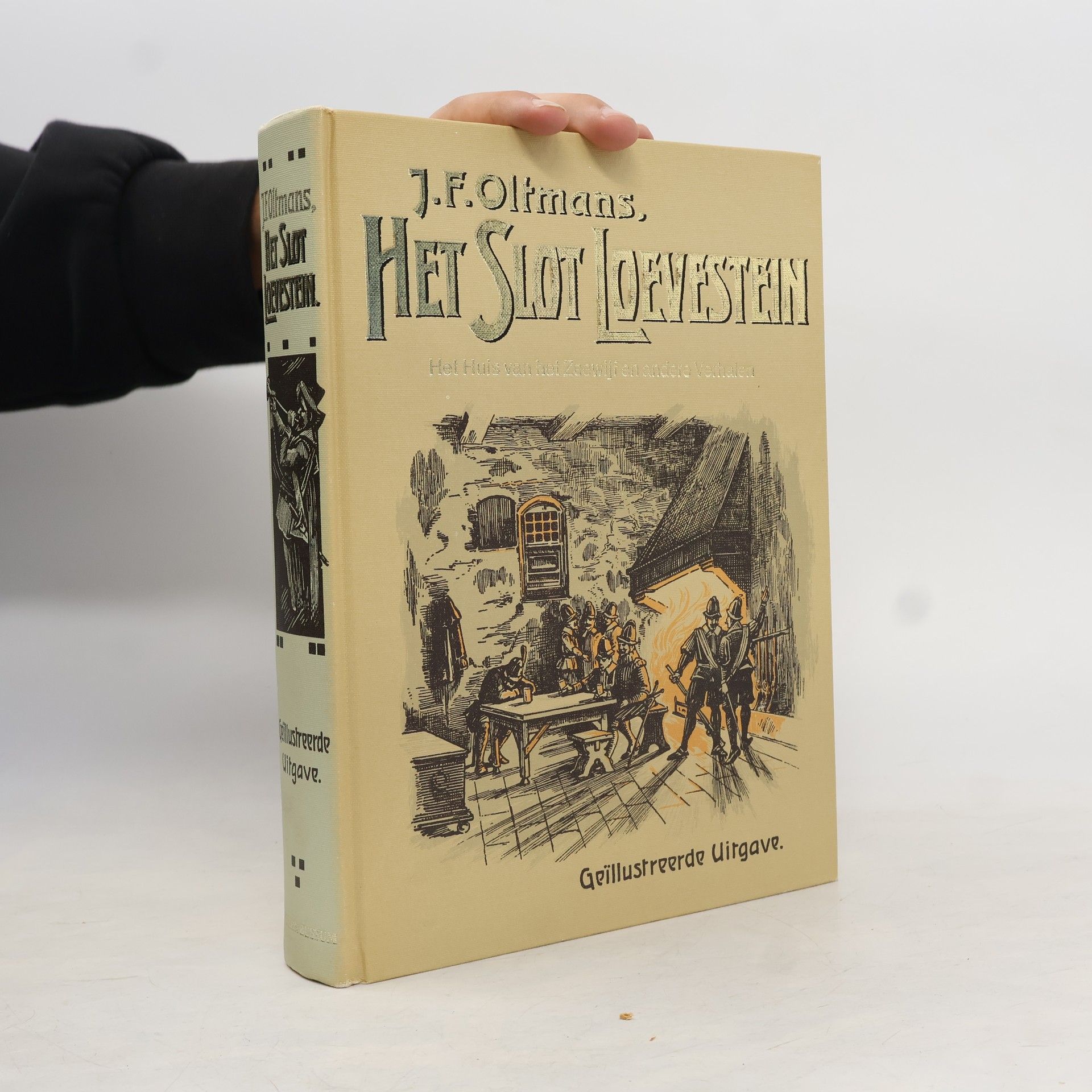 Jan Frederik Oltmans Het slot Loevestein