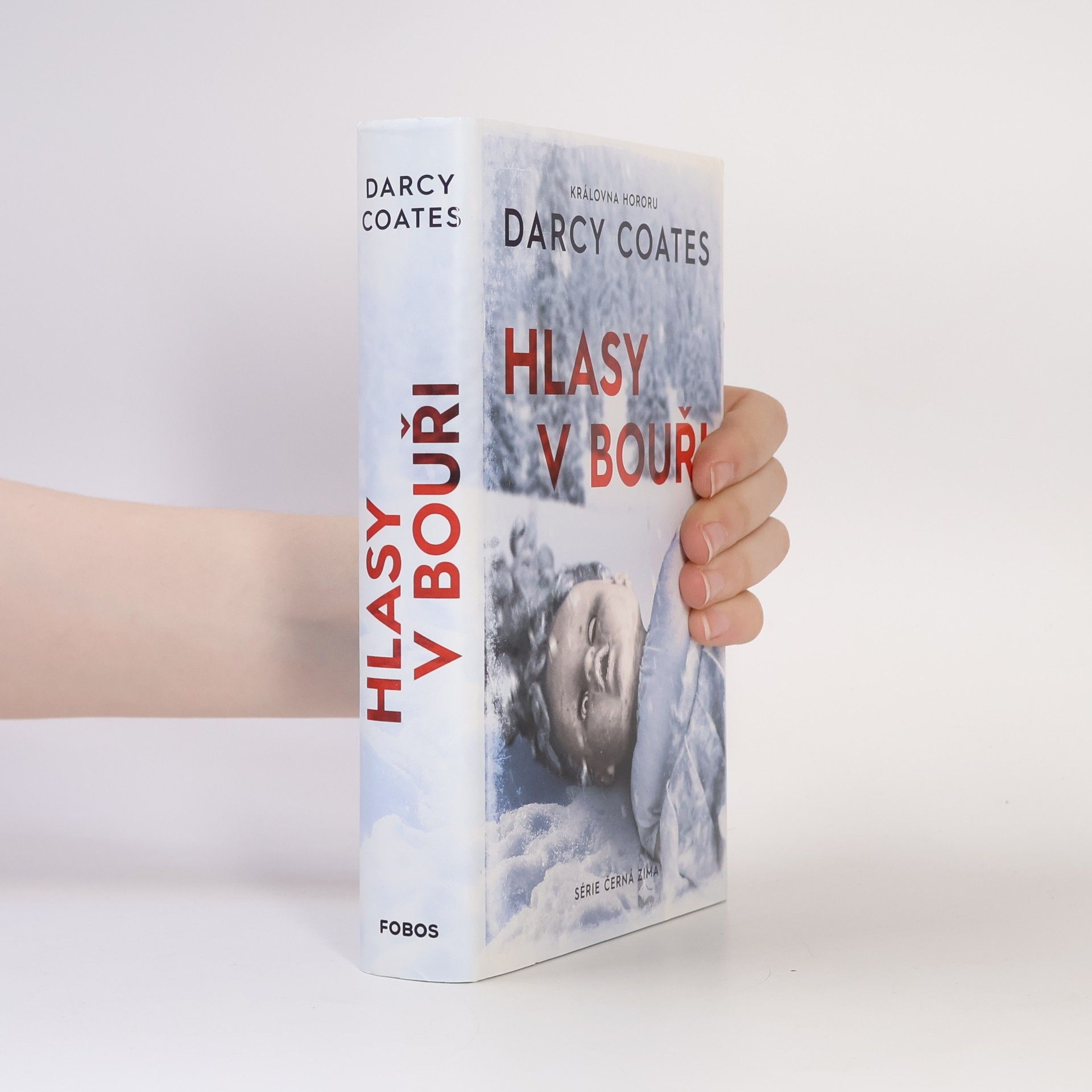 Darcy Coates Hlasy v bouři