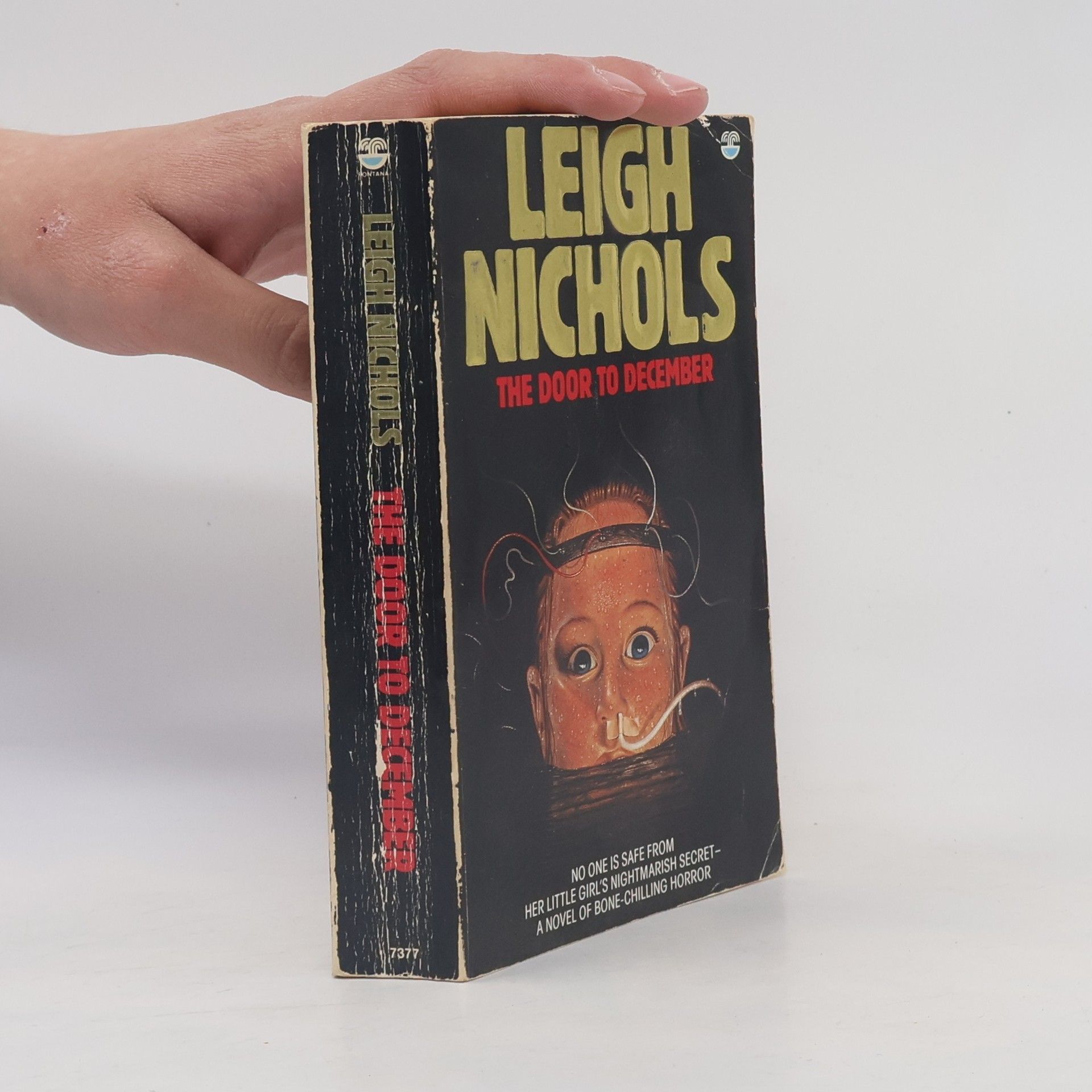 Dean R. Koontz The Door to December