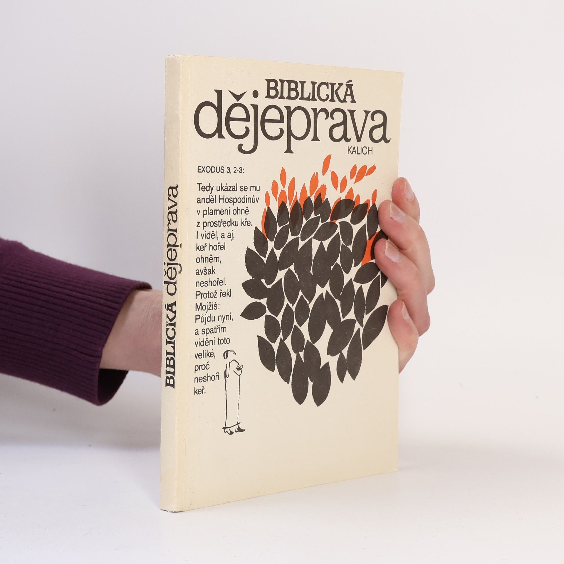 Autorenkollektiv Biblická dějeprava