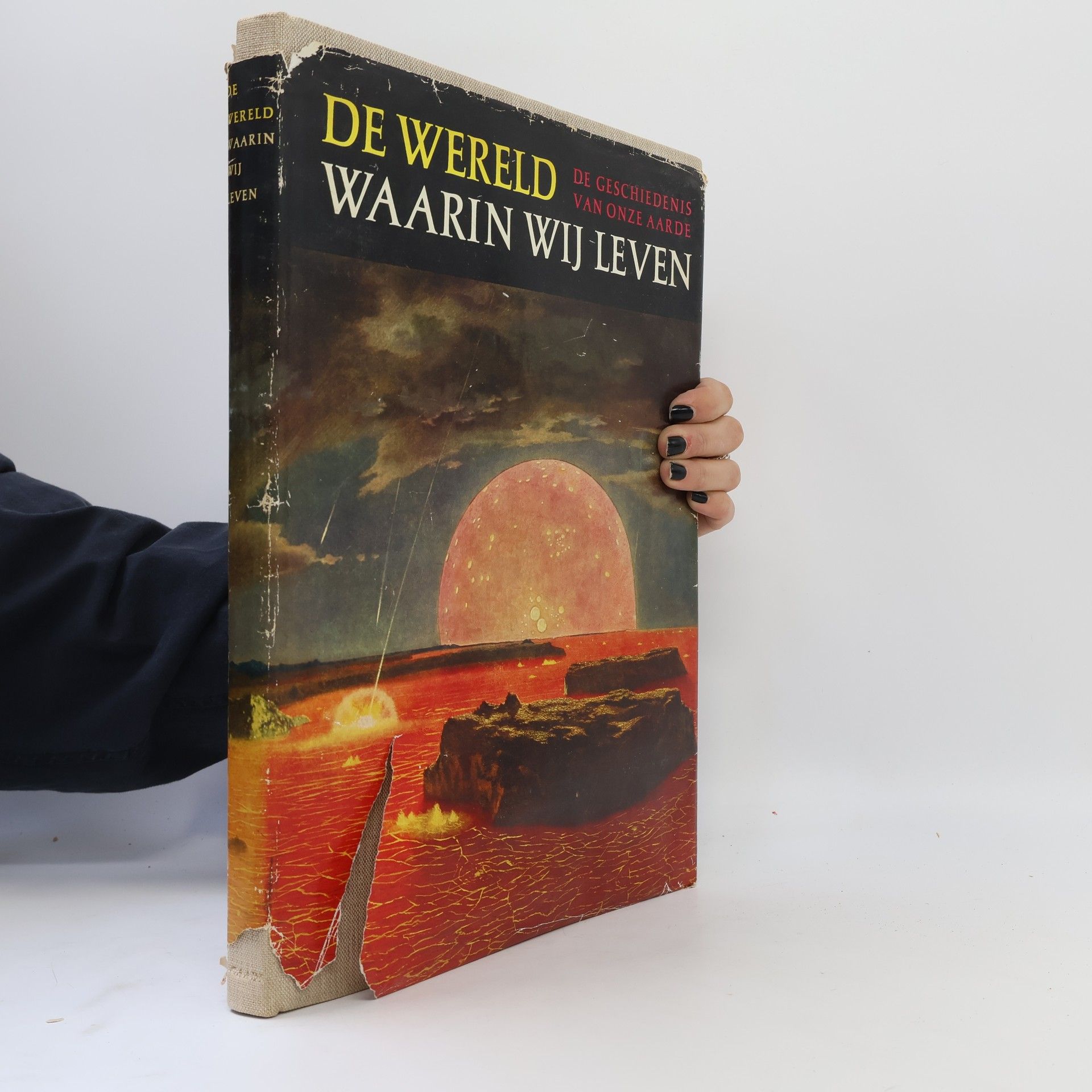 W. Gaade De wereld waarin wij leven