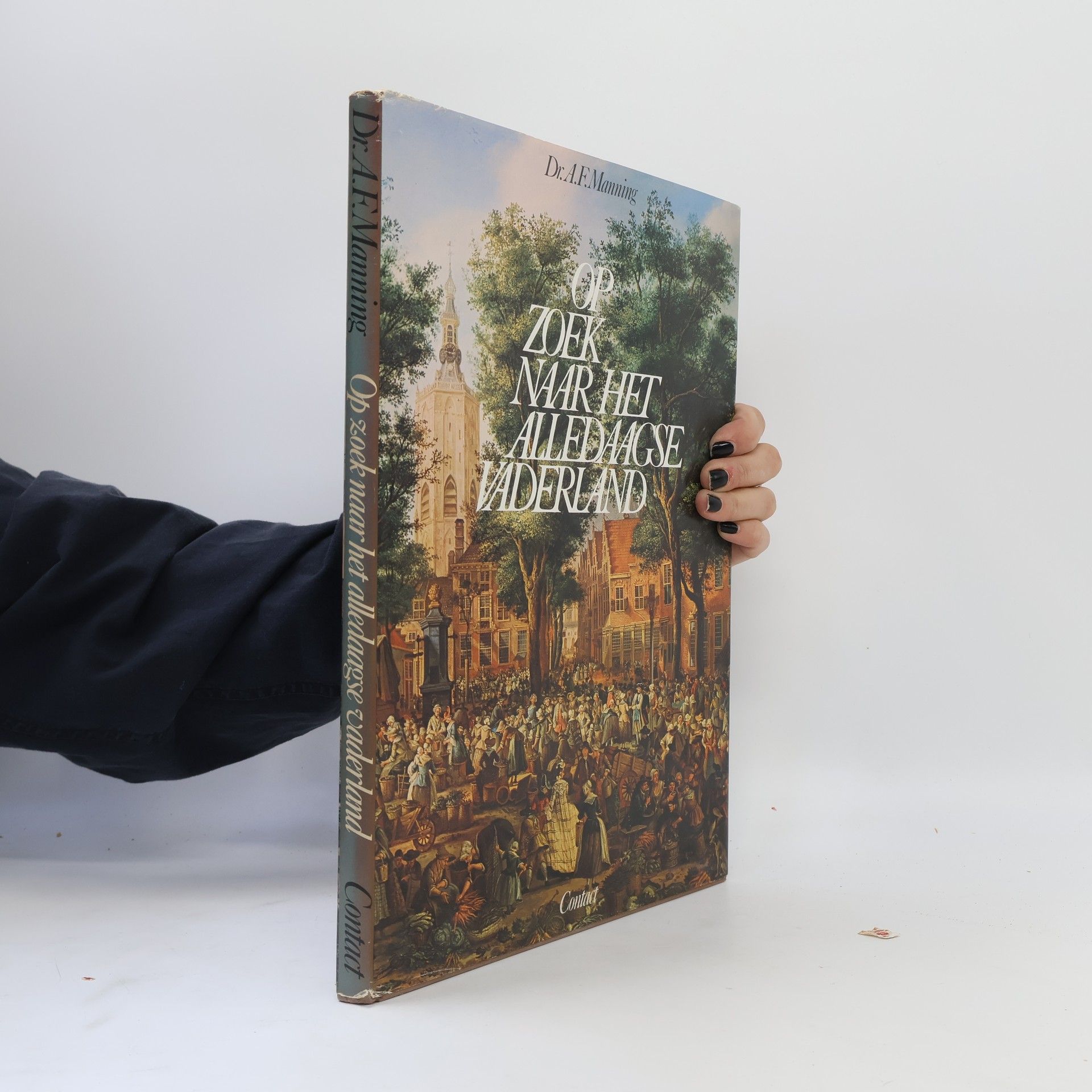 Adrianus Franciscus Manning Op zoek naar het alledaagse vaderland