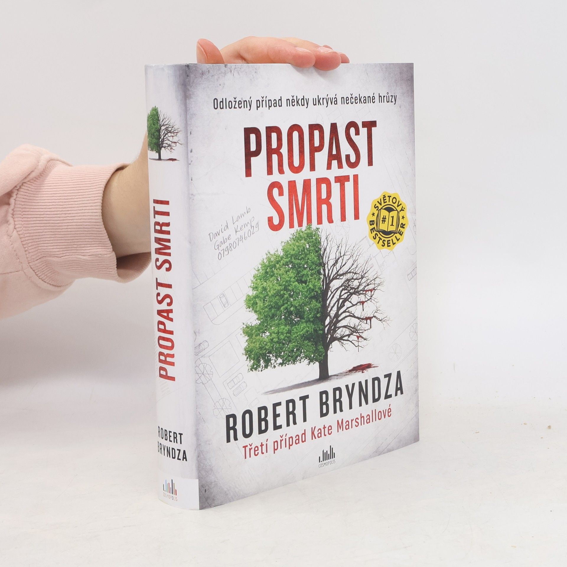 Robert Bryndza Propast smrti