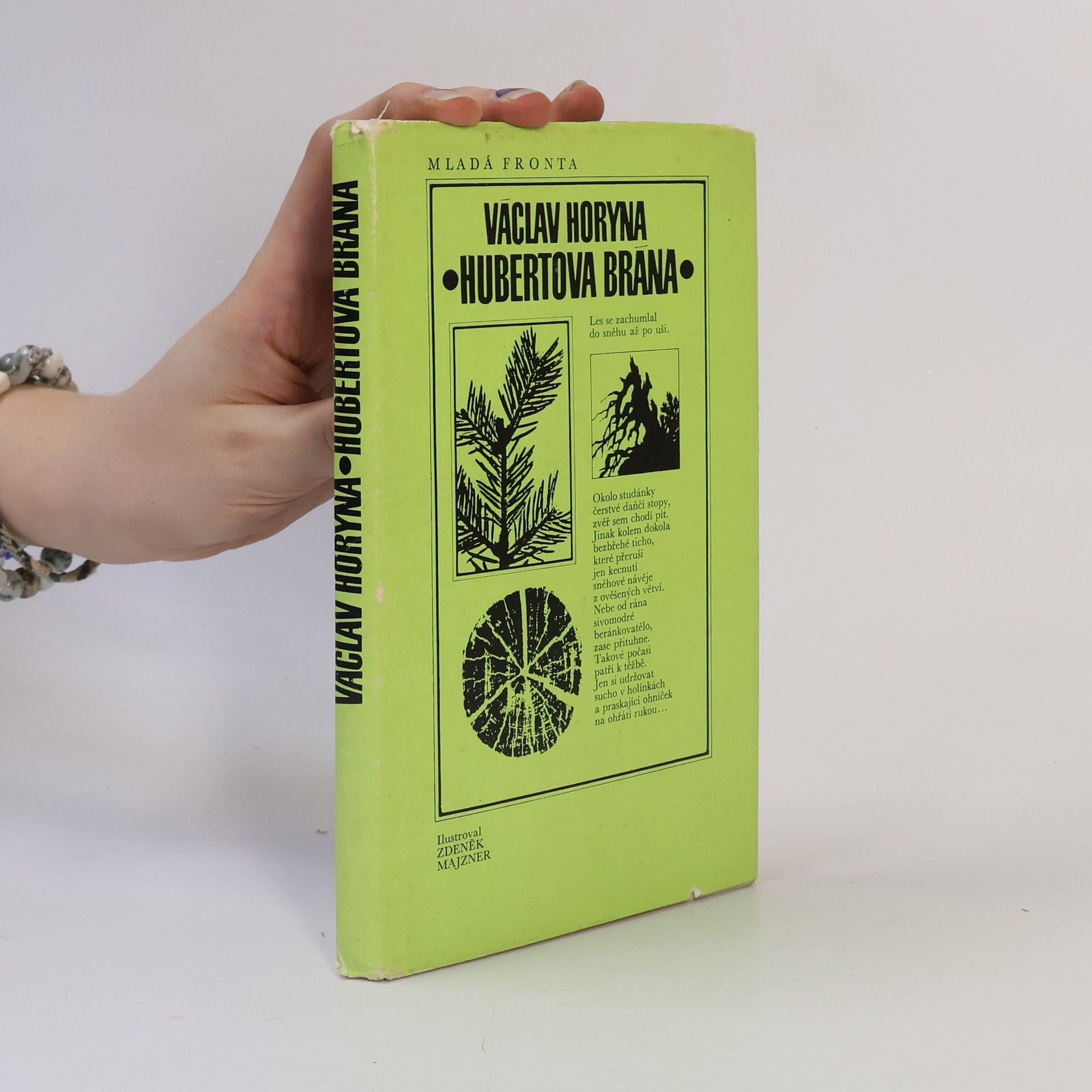 Václav Horyna Hubertova brána