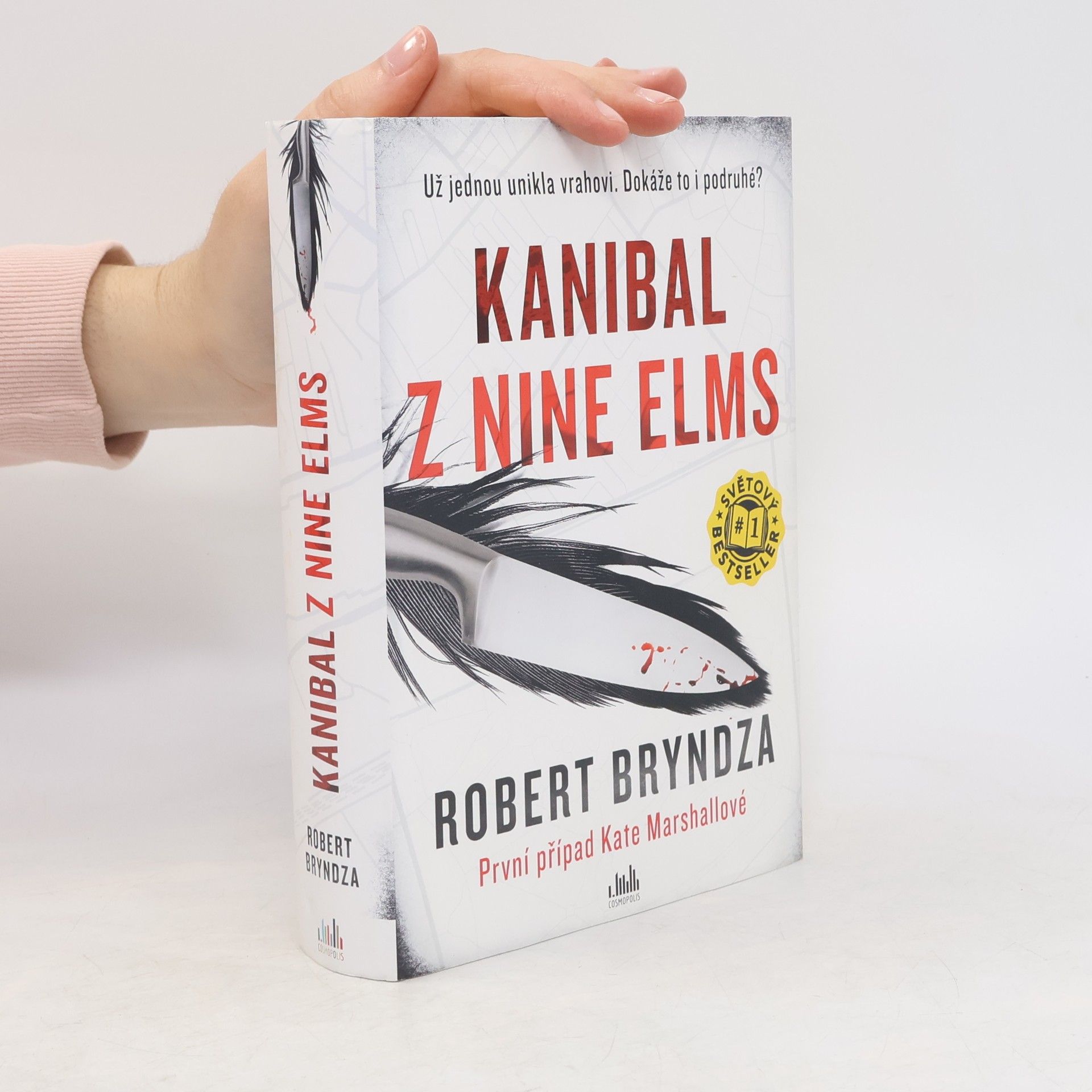 Robert Bryndza Kanibal z Nine Elms