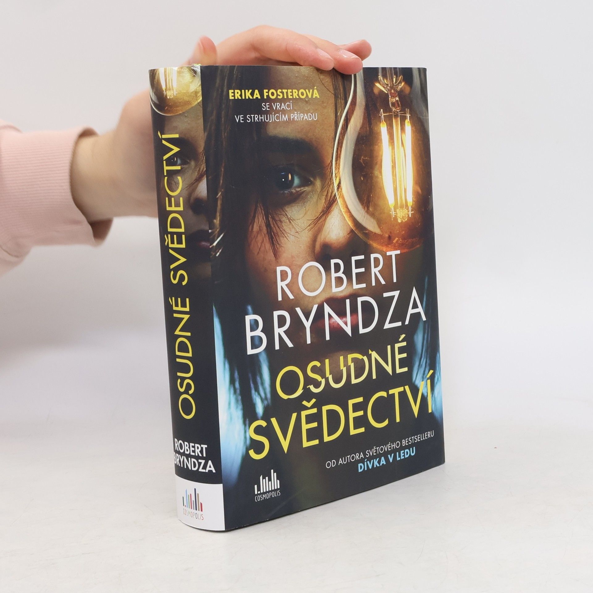 Robert Bryndza Osudné svědectví