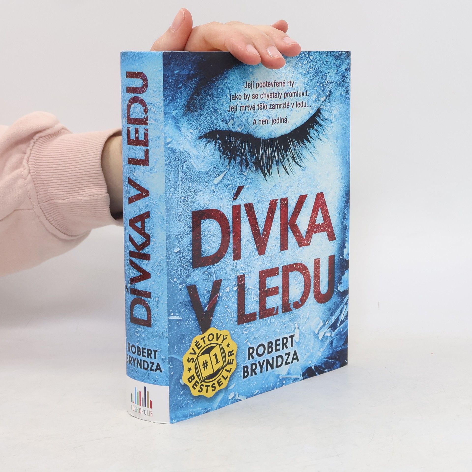 Robert Bryndza Dívka v ledu