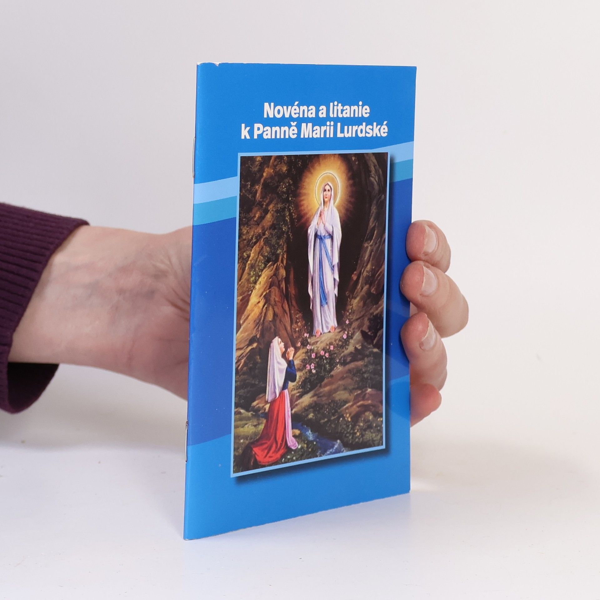Kolektiv autorů Novéna a litanie k Panně Marii Lurdské