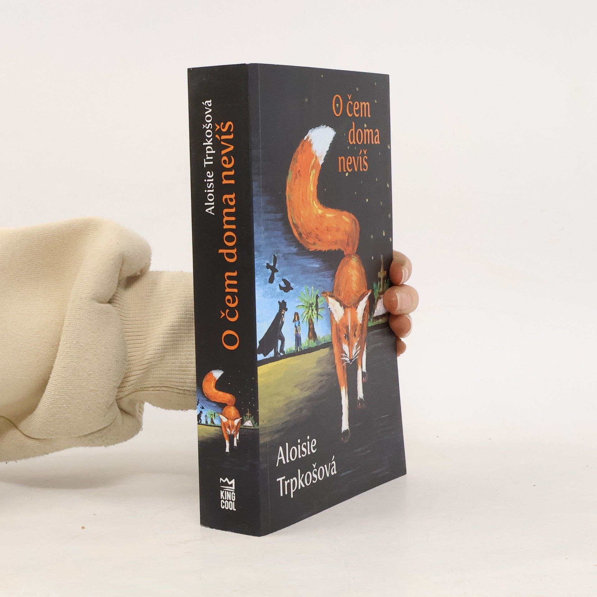 Aloisie Trpkošová O čem doma nevíš