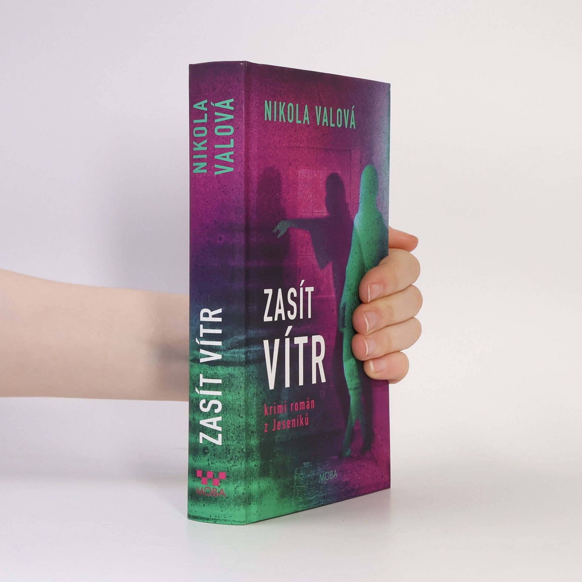 Nikola Valová Zasít vítr